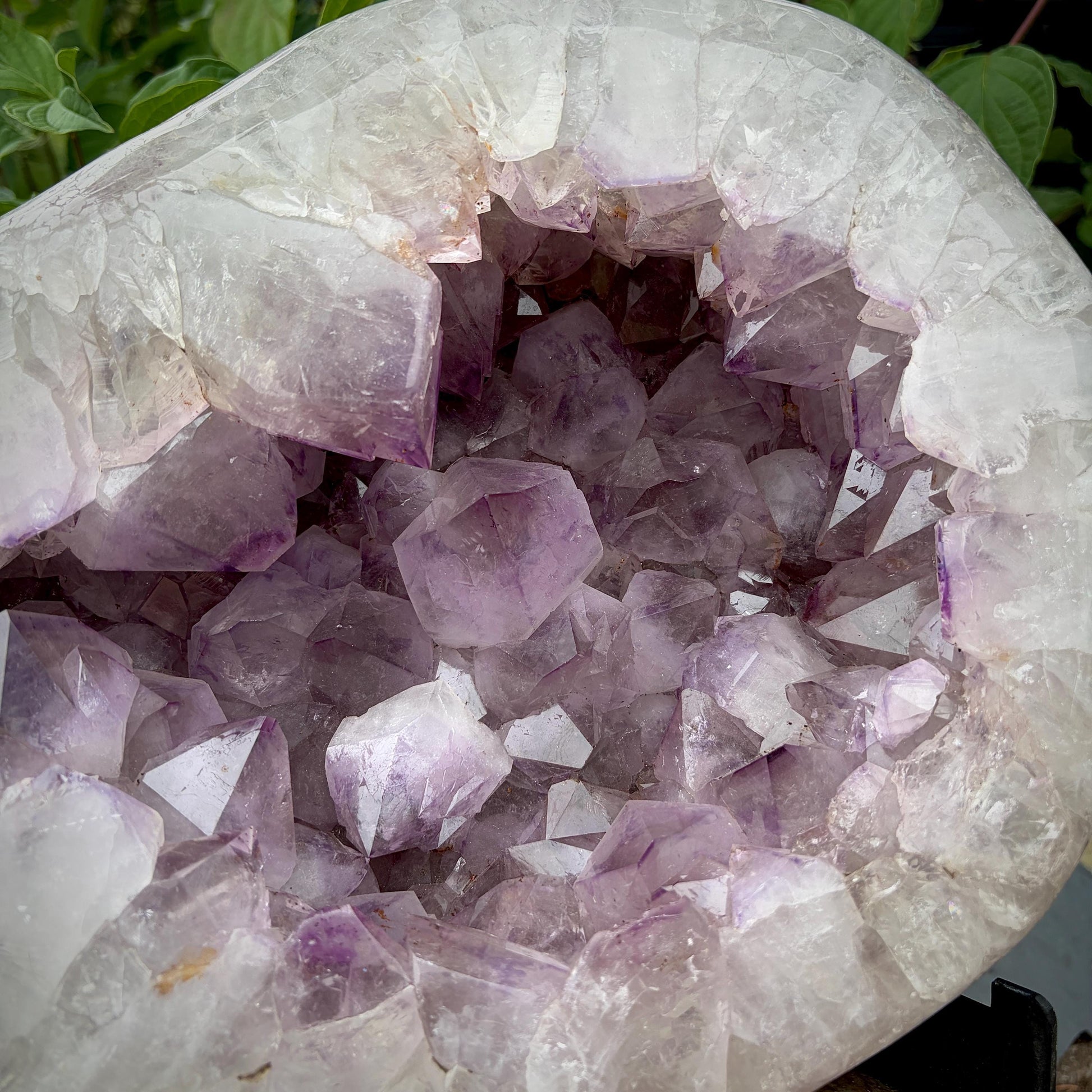 Large-point Amethyst cluster with polished outer surround