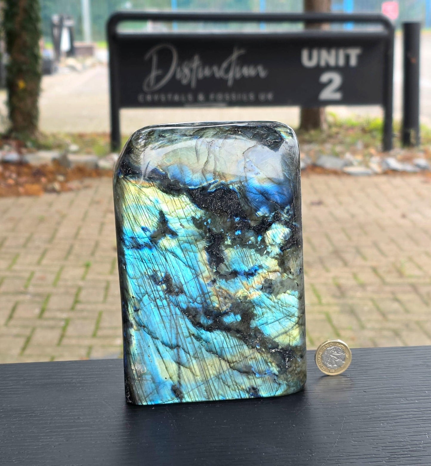 Front view showing vivid blue flash.