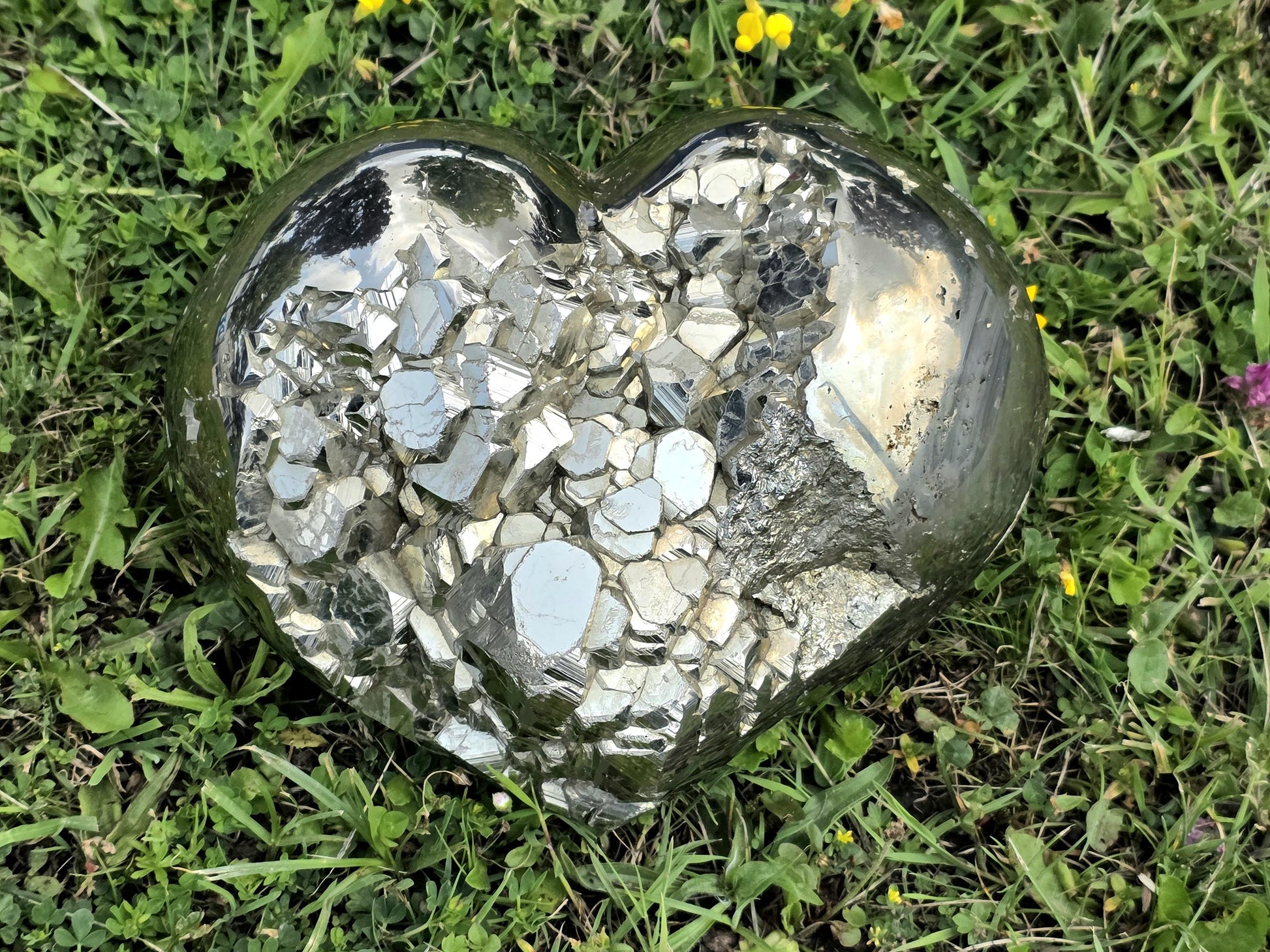 Positioned as a sculptural focal point