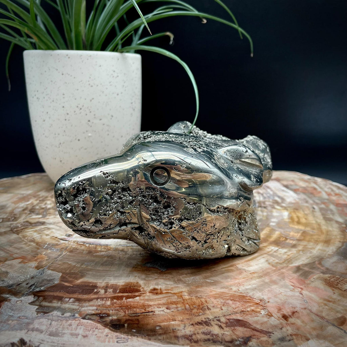 Large natural Pyrite wolf dog crystal carving