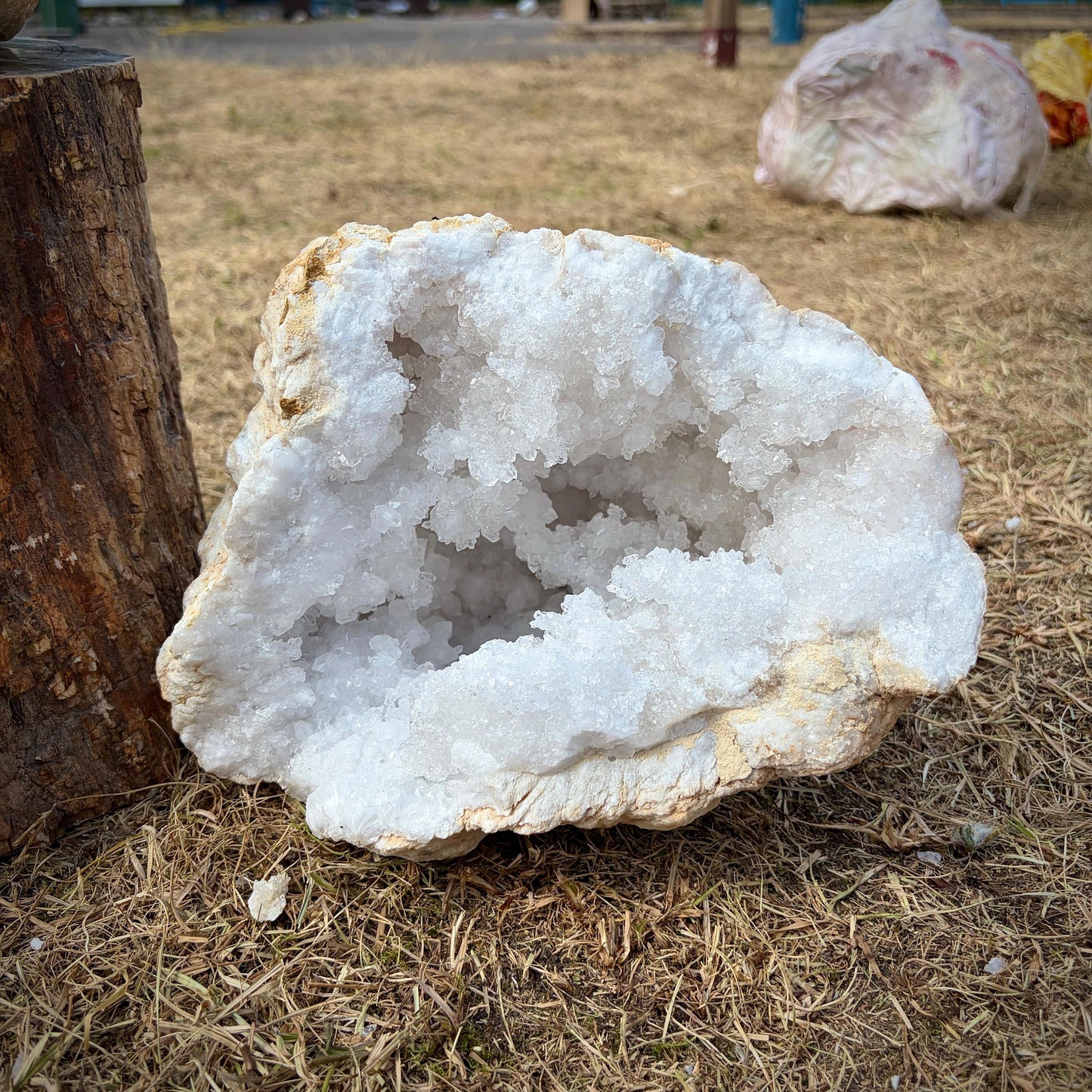 Large natural Quartz Geode Pair displaying sparkling quartz crystal formations.