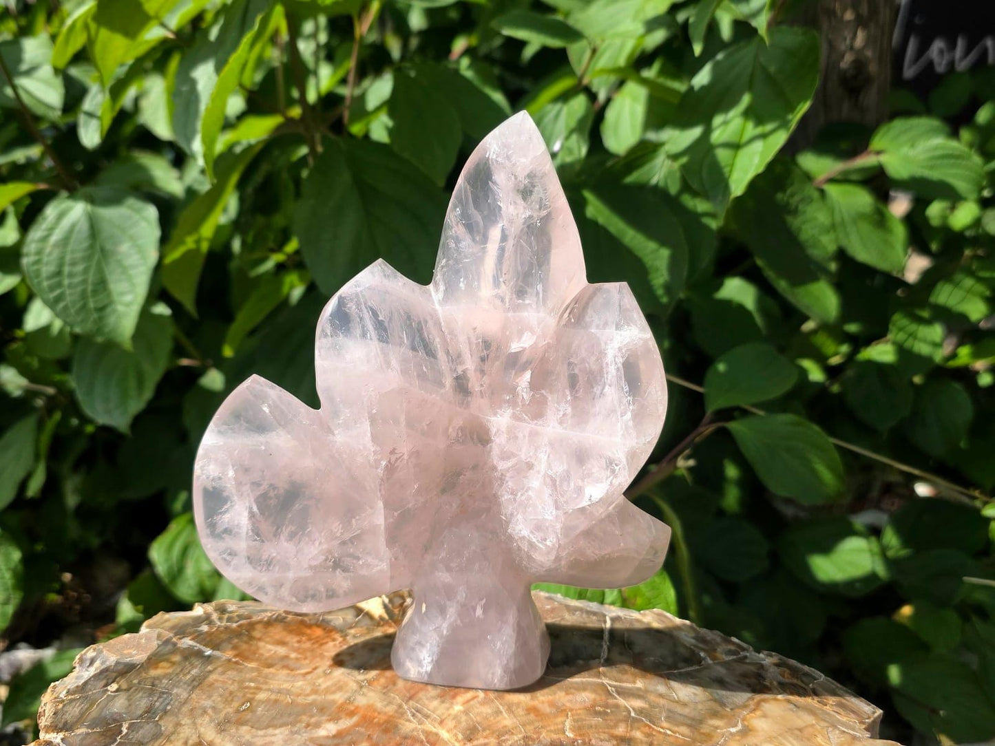 Large Rose Quartz leaf sculpture hand carved from genuine Madagascan crystal.