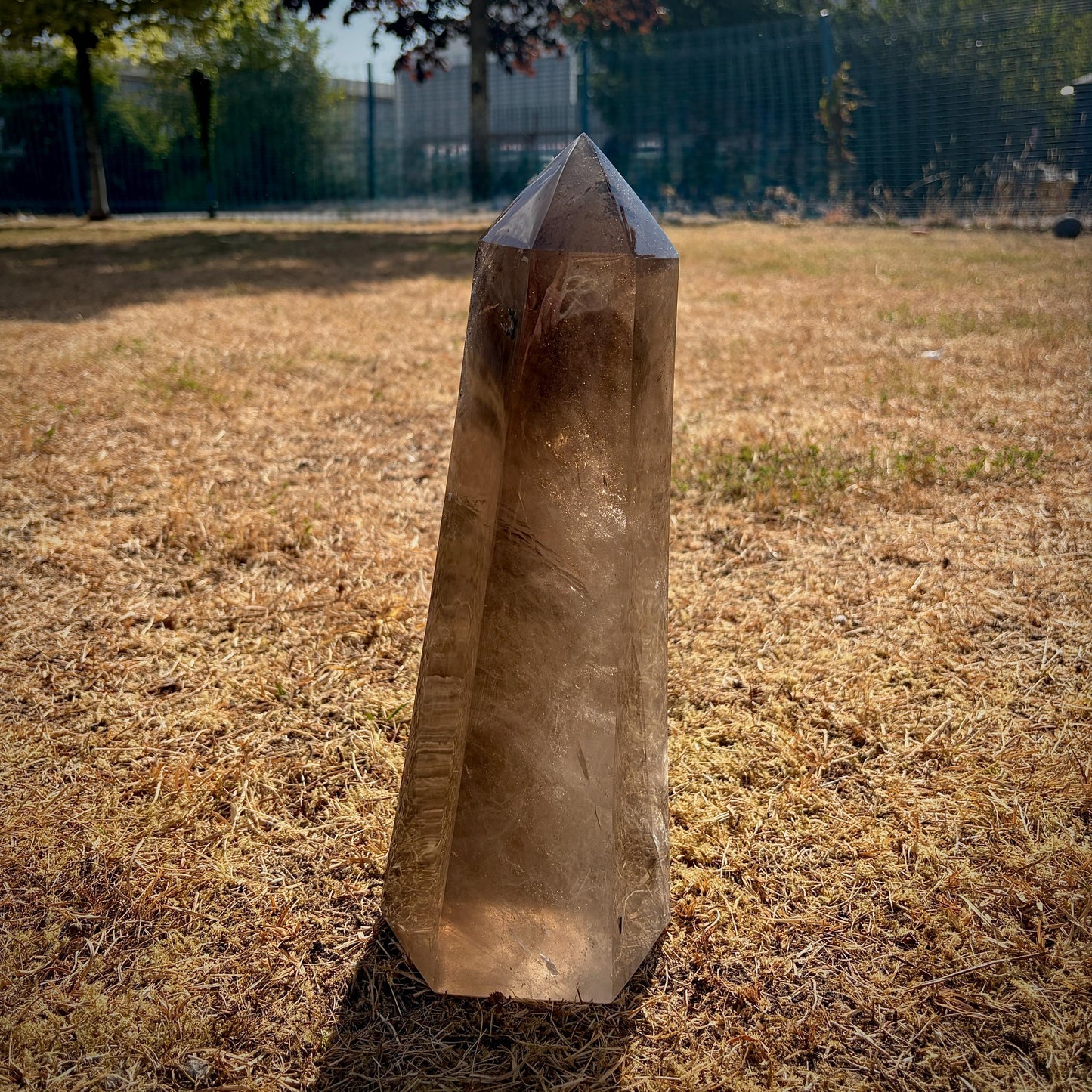 Side profile of polished Smoky Quartz point displaying its elegant natural formation.