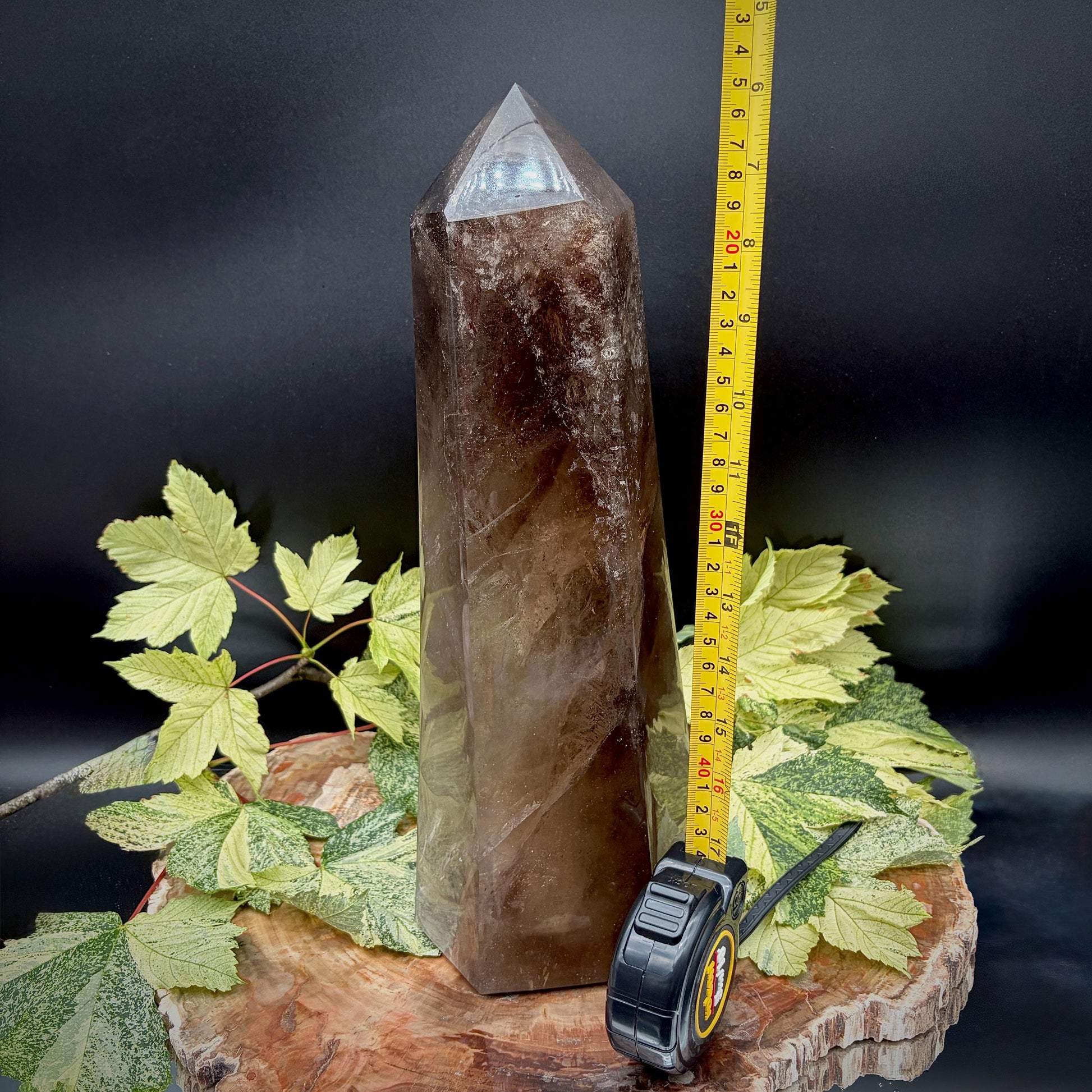 Front view of exceptional Smoky Quartz crystal tower with natural transparency and polished surfaces.