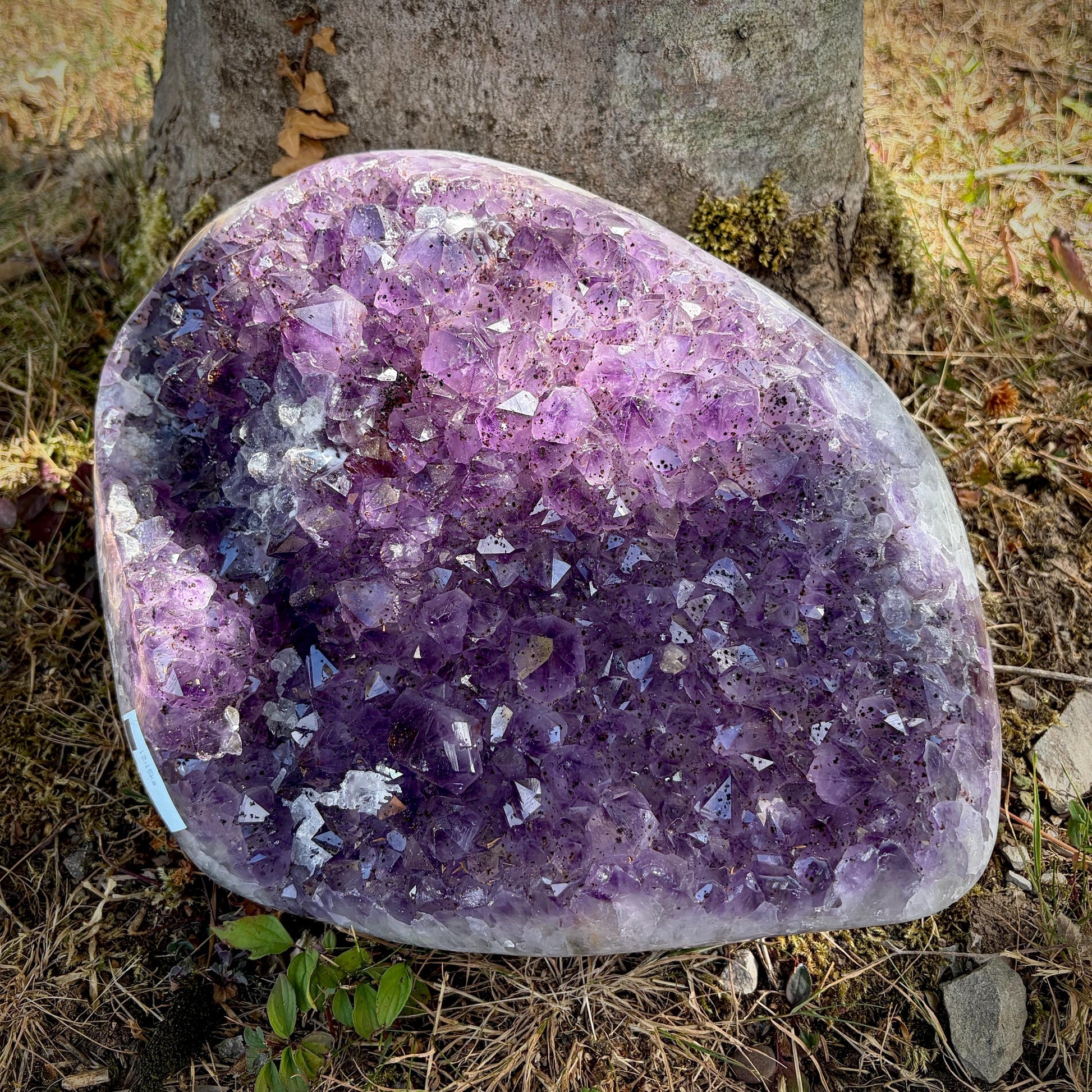 Large violet Amethyst crystal cluster for home display