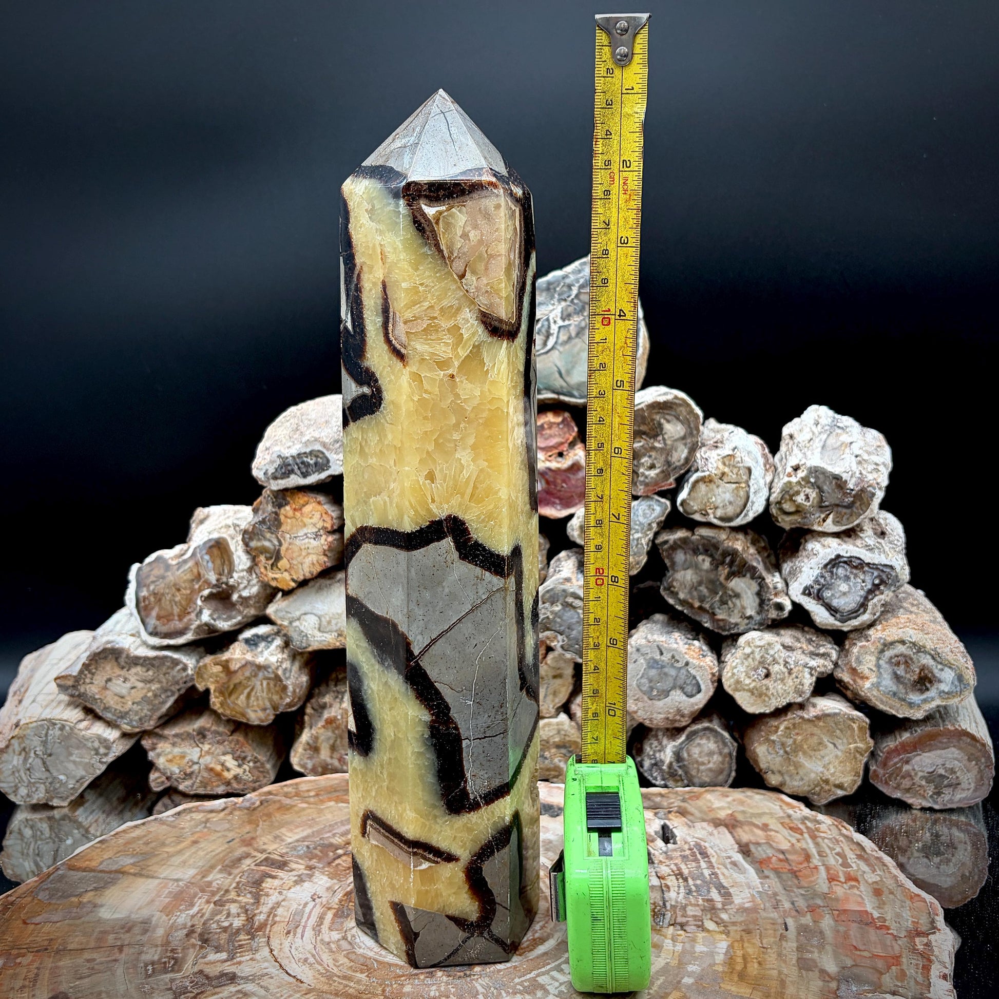 Large Yellow Septarian display specimen with natural patterning