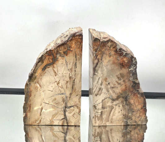 natural home decor fossil wood bookends