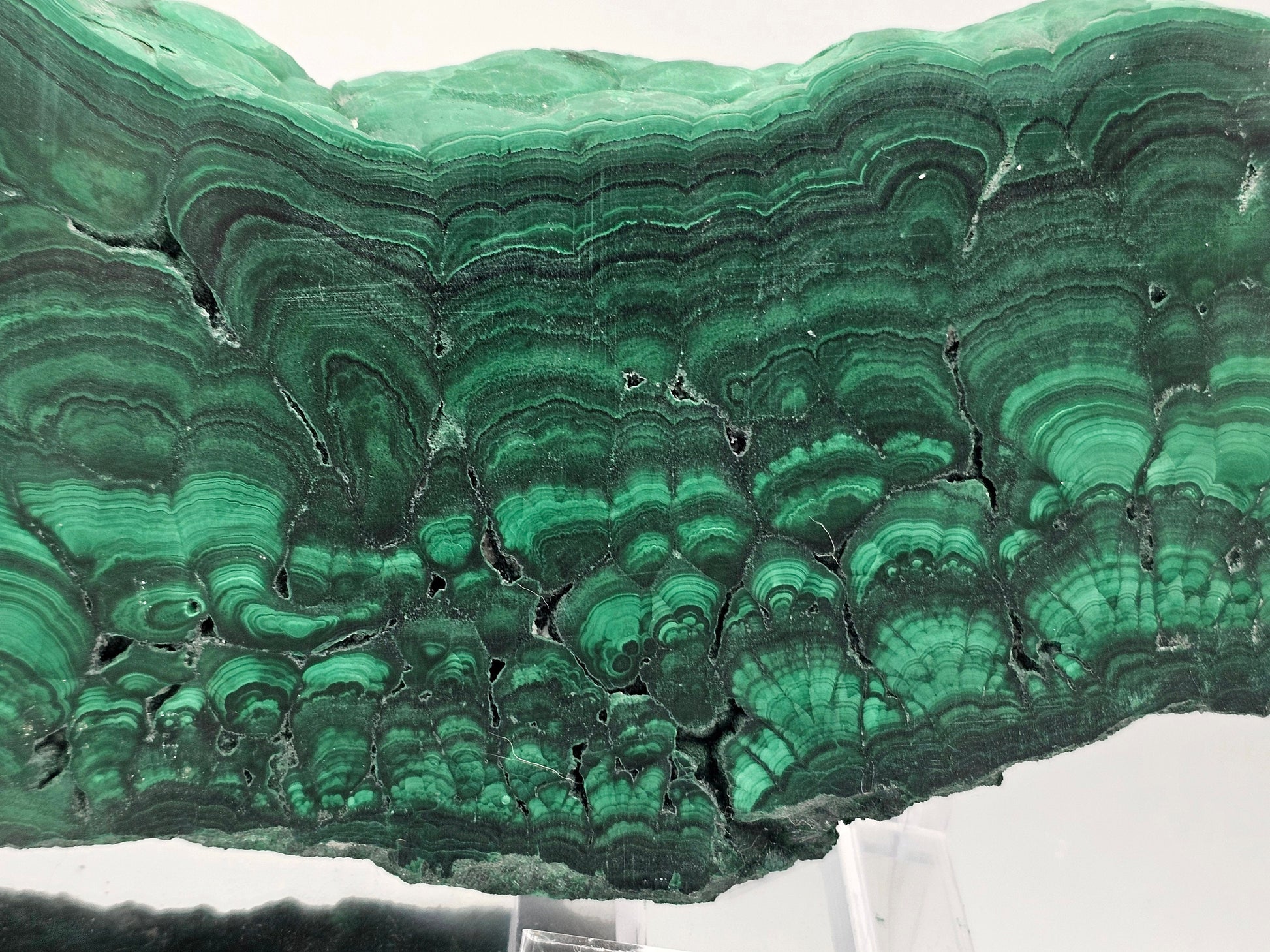large green malachite crystal slice 