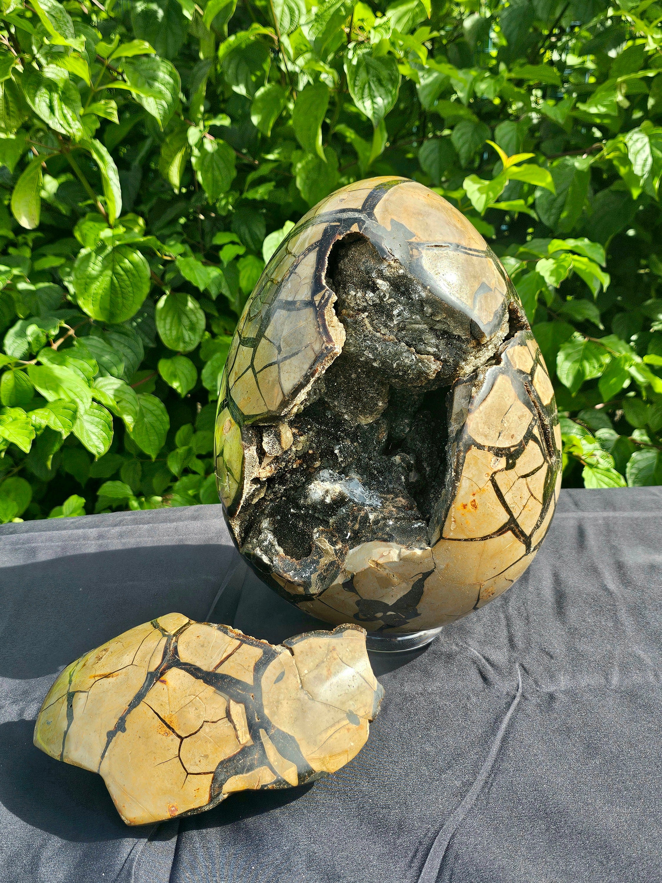 XL Large Black Septarian Crystal Egg – Distinction Crystals