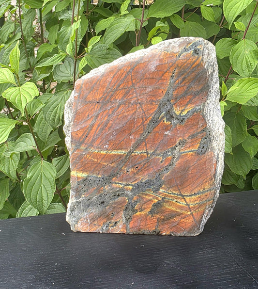 Large sunset labradorite crystal showing golden  iridescent flash of colors.