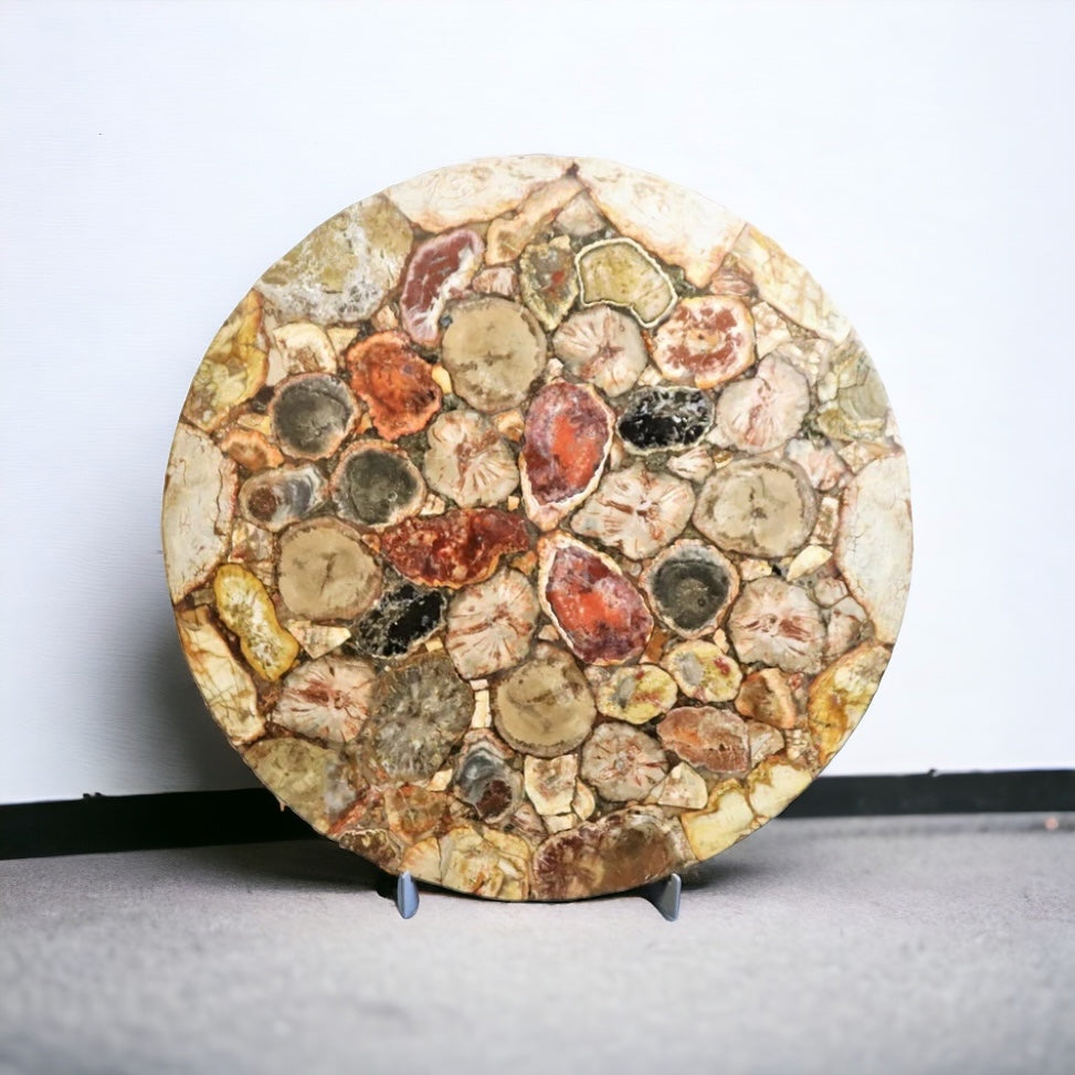 fossil wood table