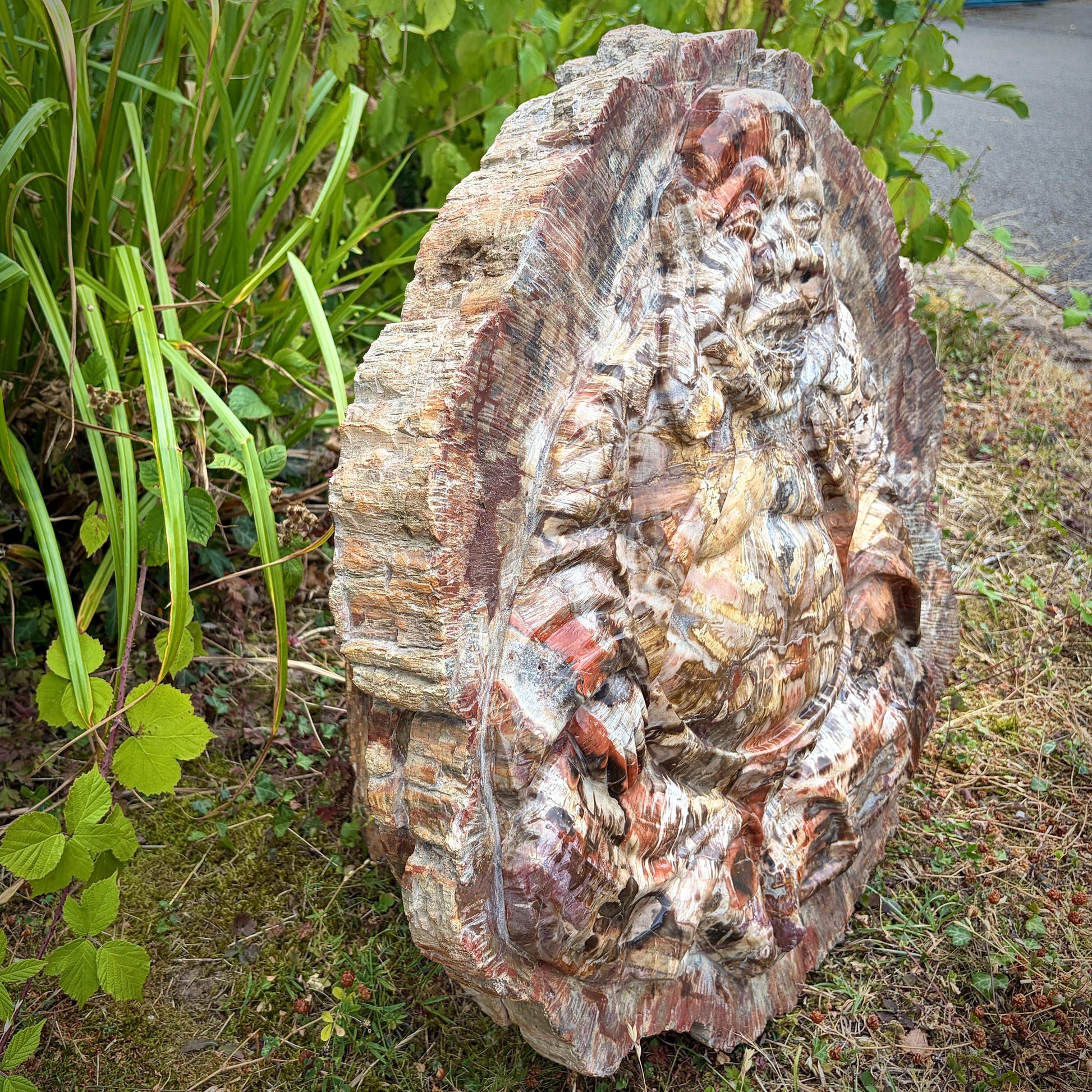 Laughing Buddha fossil wood slab with natural earthy tones