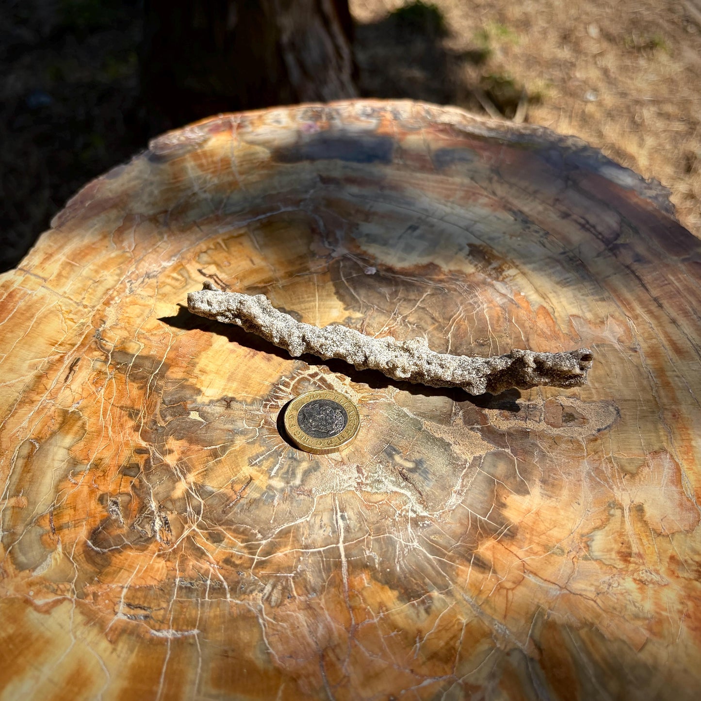 lightning-stone-fulgurite-algeria-08-detail.