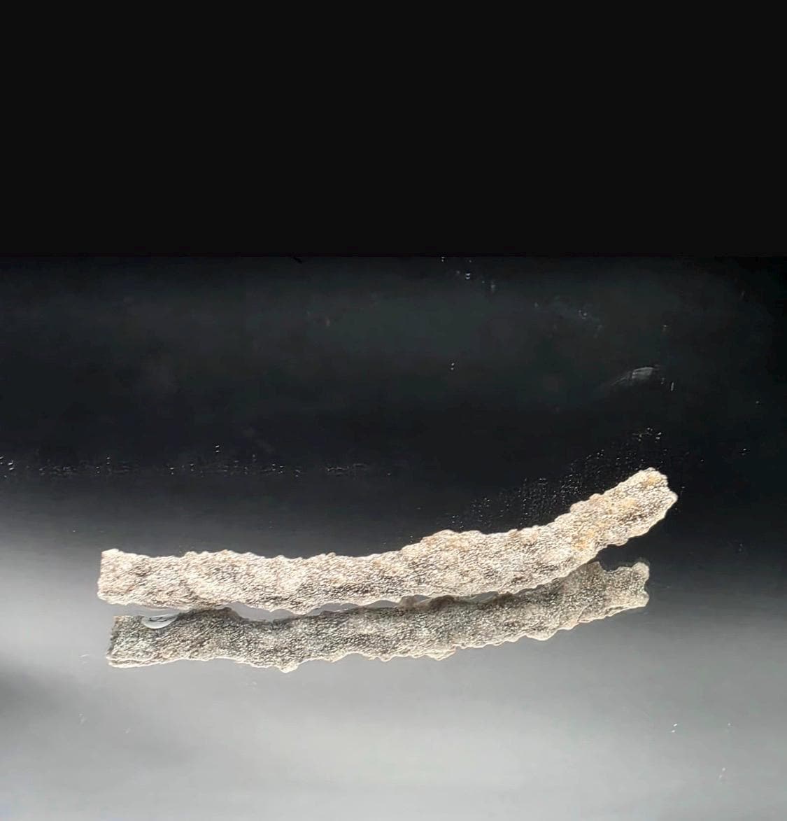 Natural Lightning Stone Fulgurite sourced from the Sahara Desert in Algeria.