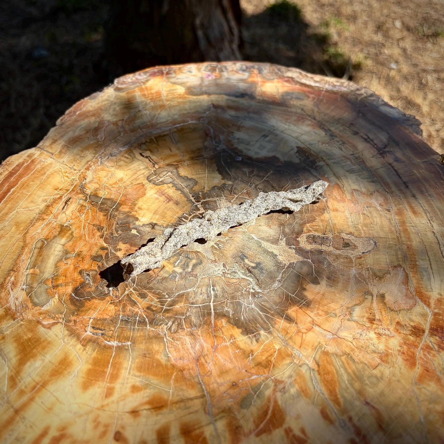 Side view of an Algerian Lightning Stone with an irregular fused-sand formation.