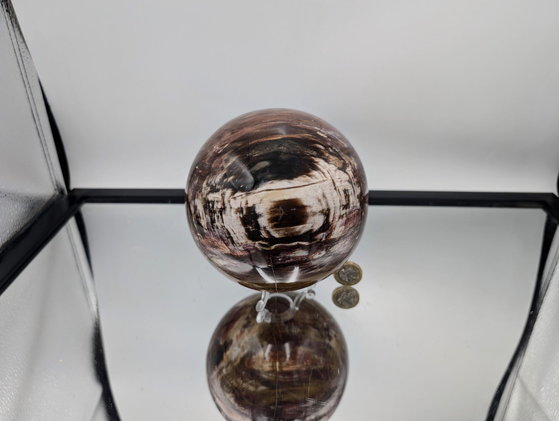 Luxury home décor Fossil Wood sphere