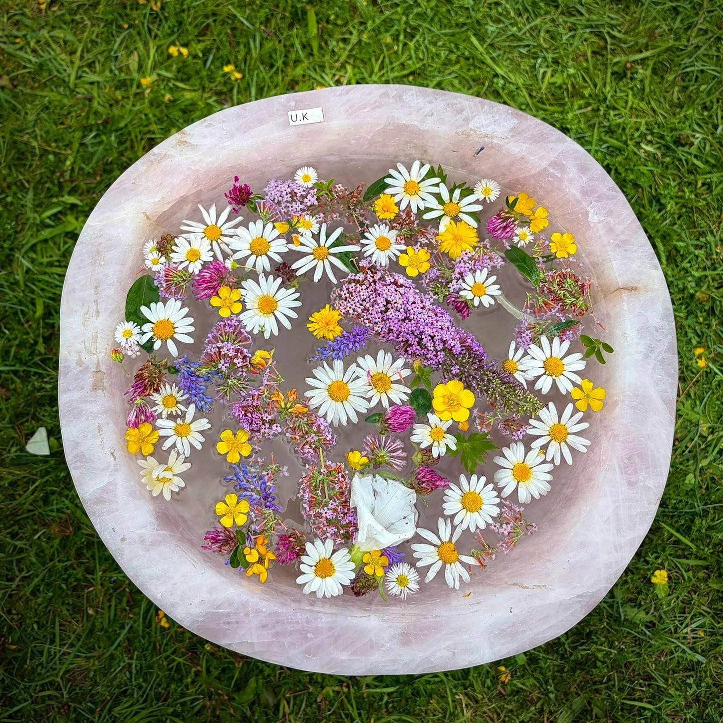 Full view of an XL Madagascan Rose Quartz bowl with blush-pink tones and broad polished profile.