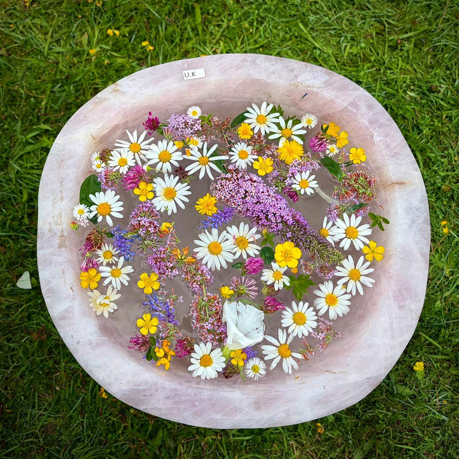 Full view of an XL Madagascan Rose Quartz bowl with blush-pink tones and broad polished profile.