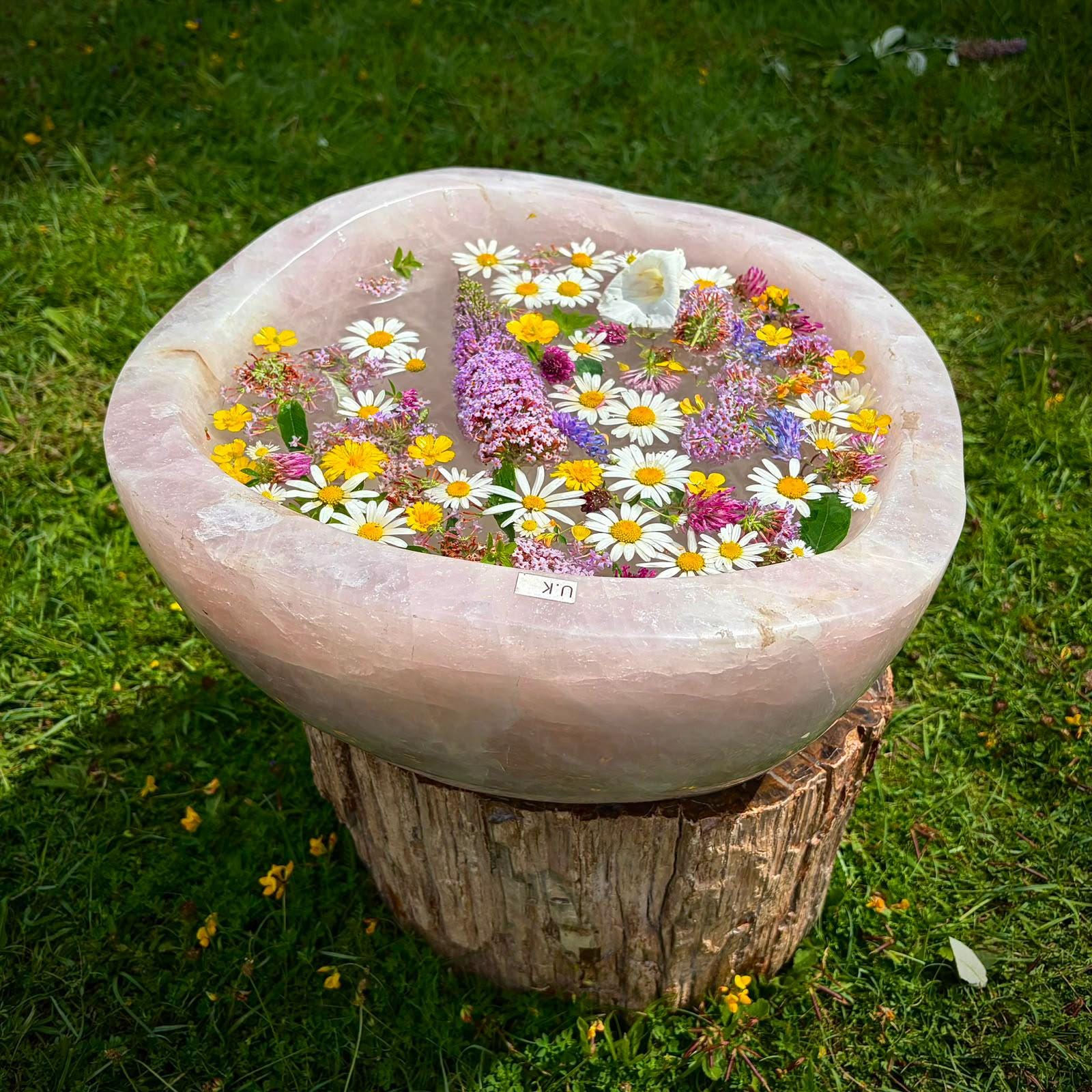 Luxury 29.5kg Madagascan Rose Quartz bowl with soft blush-pink colour and polished sculptural form.