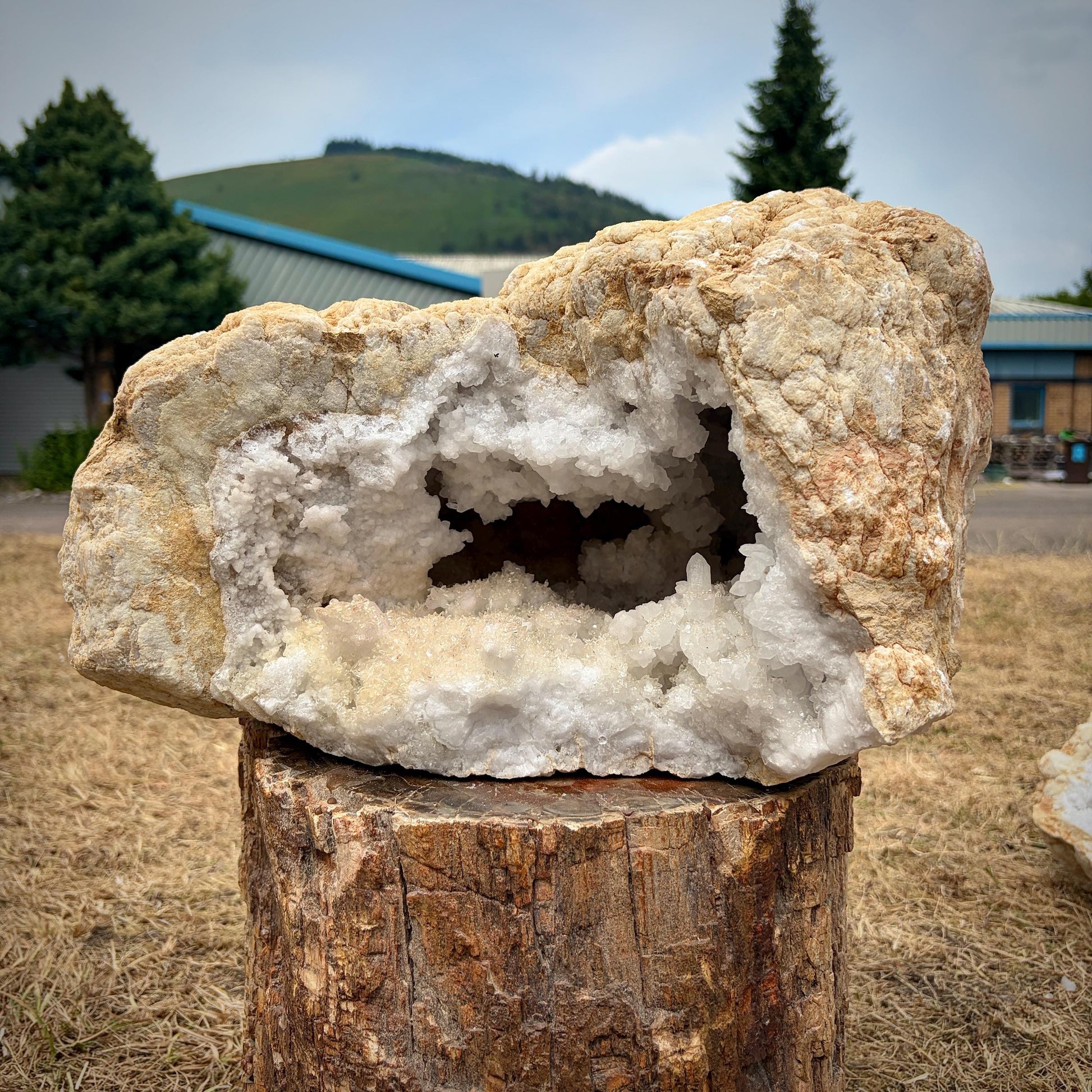 Luxury XL quartz crystal geode pair displayed as a statement mineral specimen.