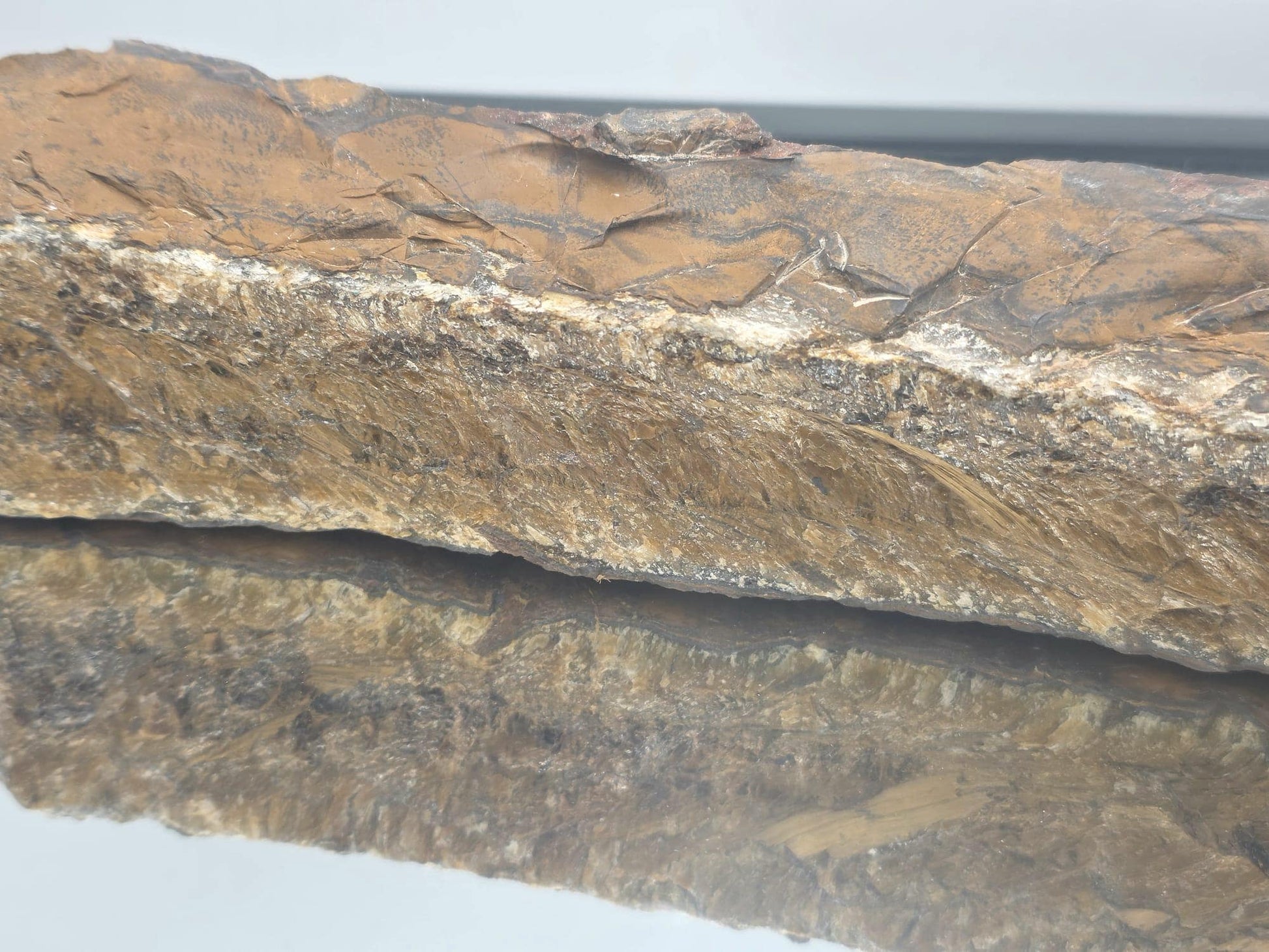 Premium quality Tiger’s Eye crystal from South Africa