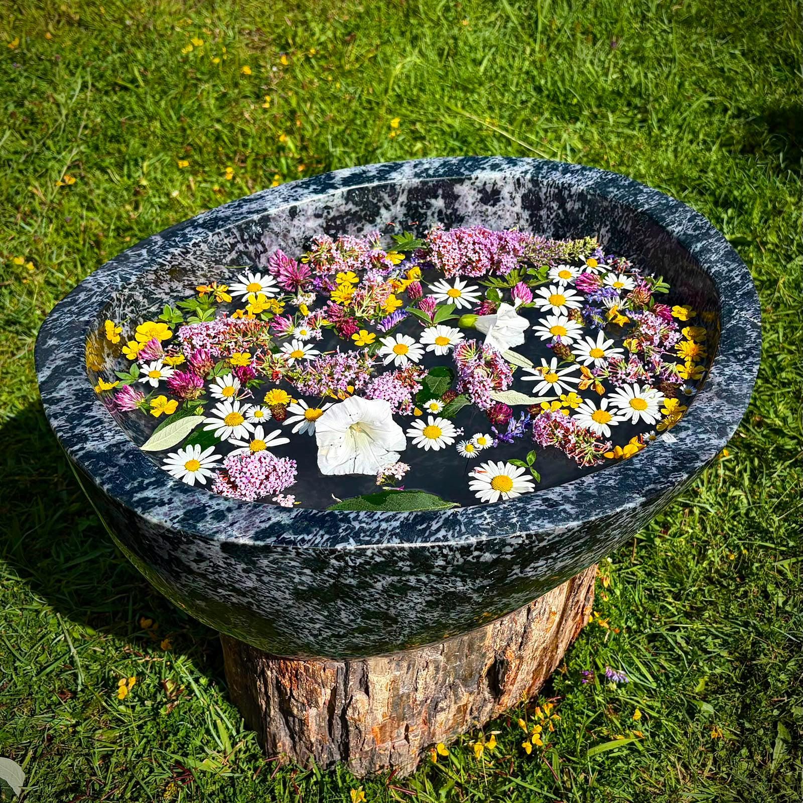 Hand-carved Madagascan Indigo Gabbro bowl displayed as a statement interior centrepiece.
