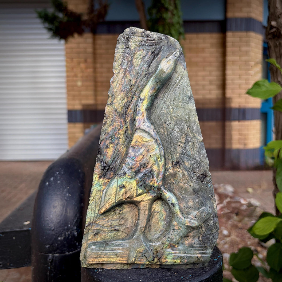 Madagascan Labradorite bird carving with detailed polished finish