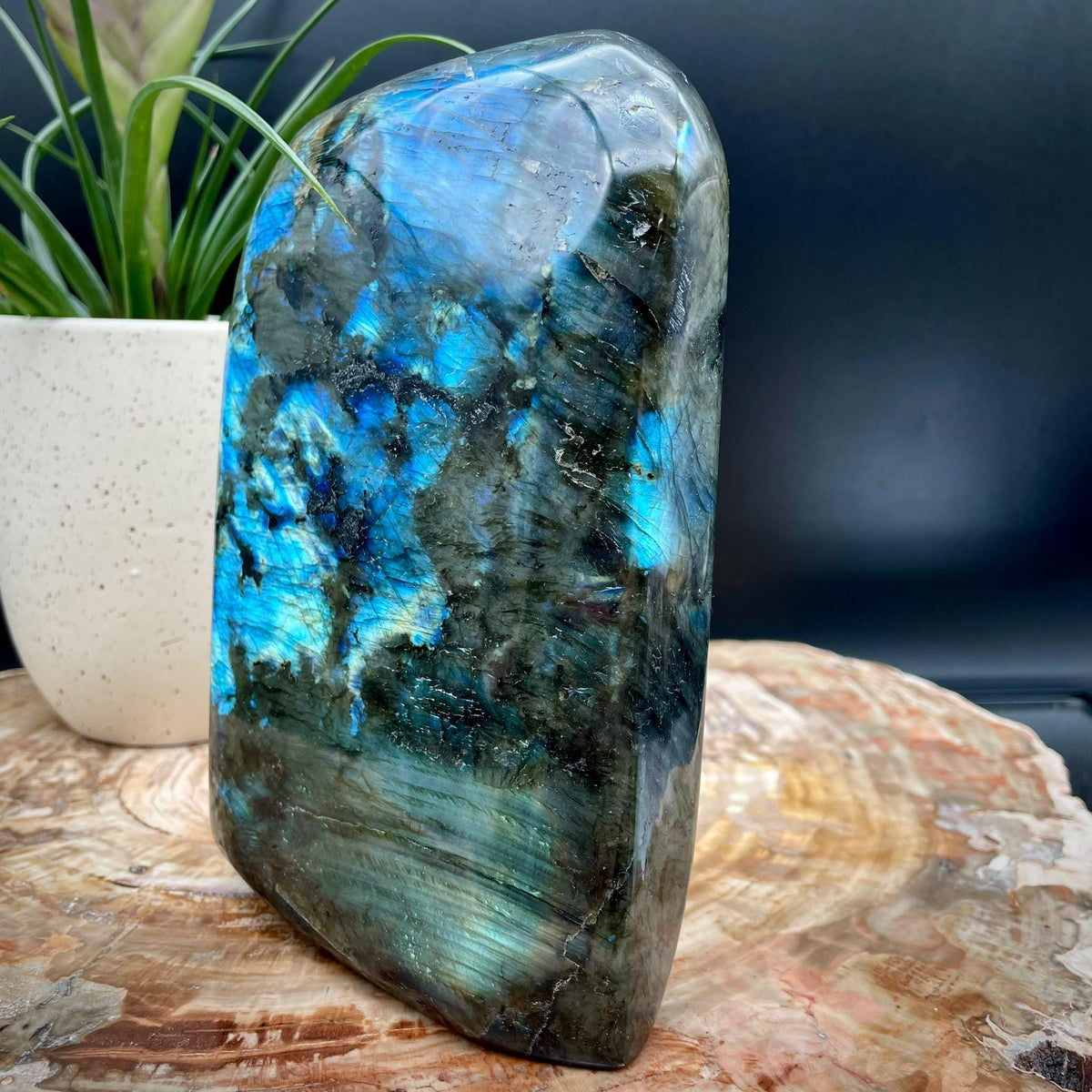 Madagascan Labradorite polished freeform gift