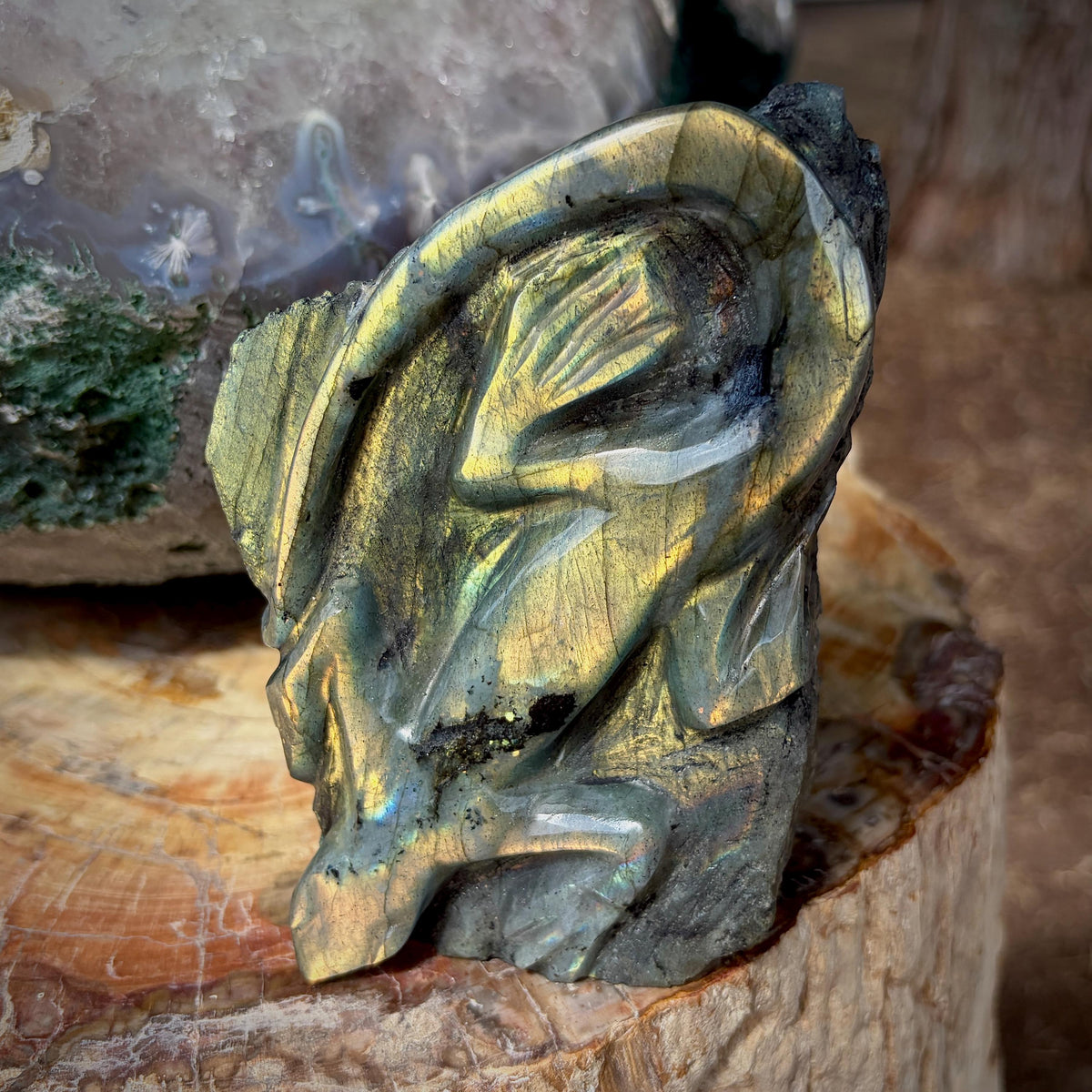Madagascan Labradorite lizard with polished natural finish