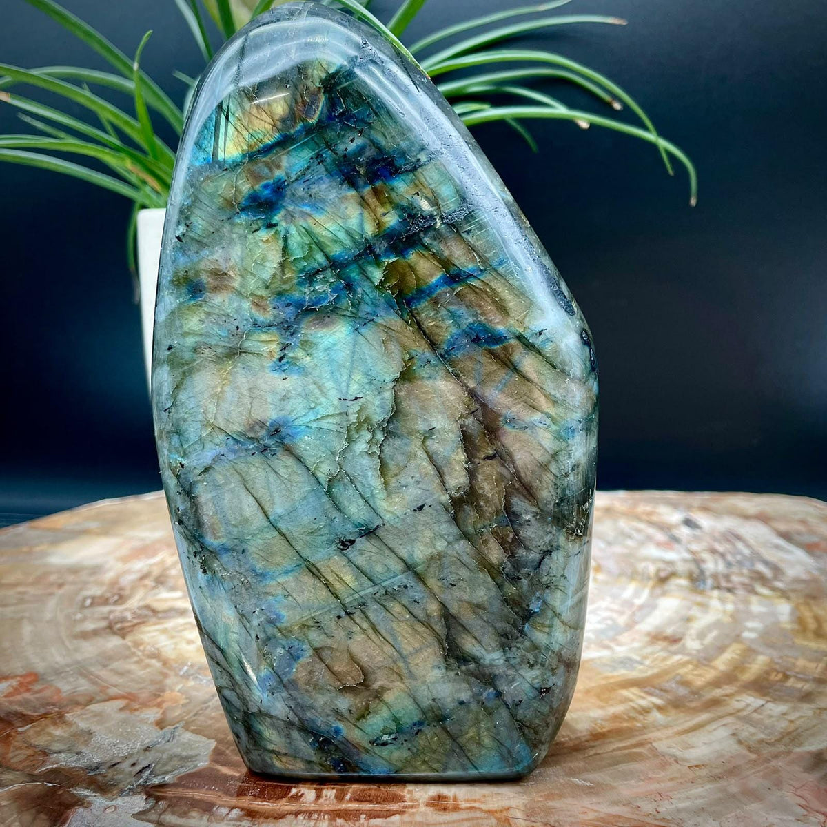 Madagascan Labradorite natural mineral freeform