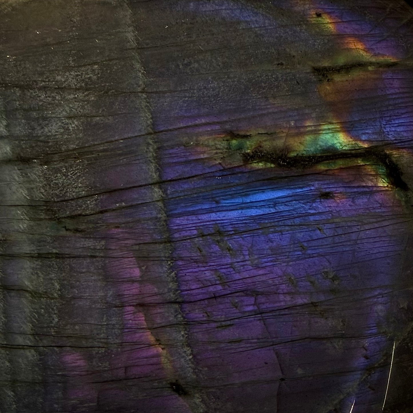 Close-up of rare purple labradorescence on a polished freeform crystal specimen.