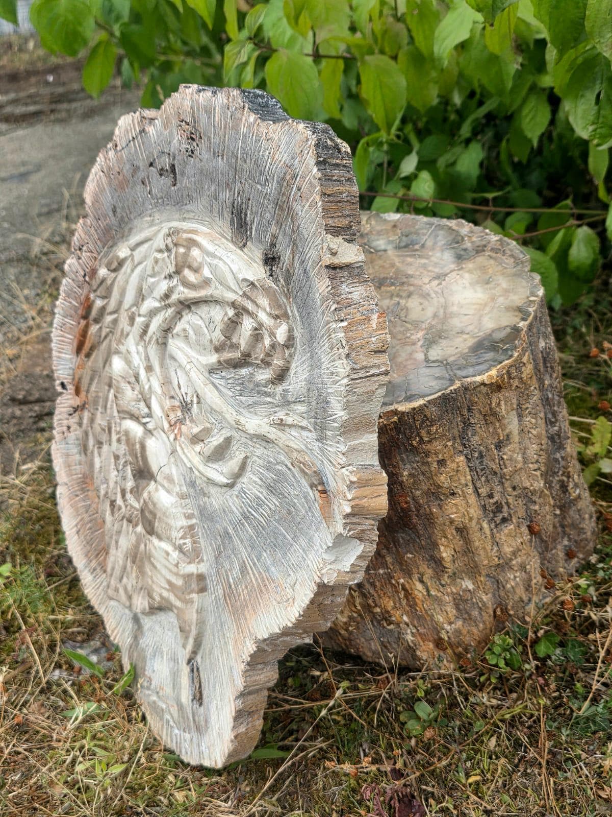 One-of-a-kind fossil wood cobra carving