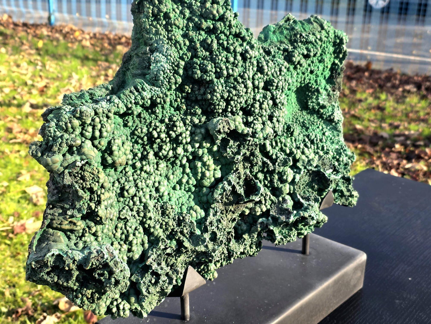 Collector-grade Malachite mineral specimen on stand
