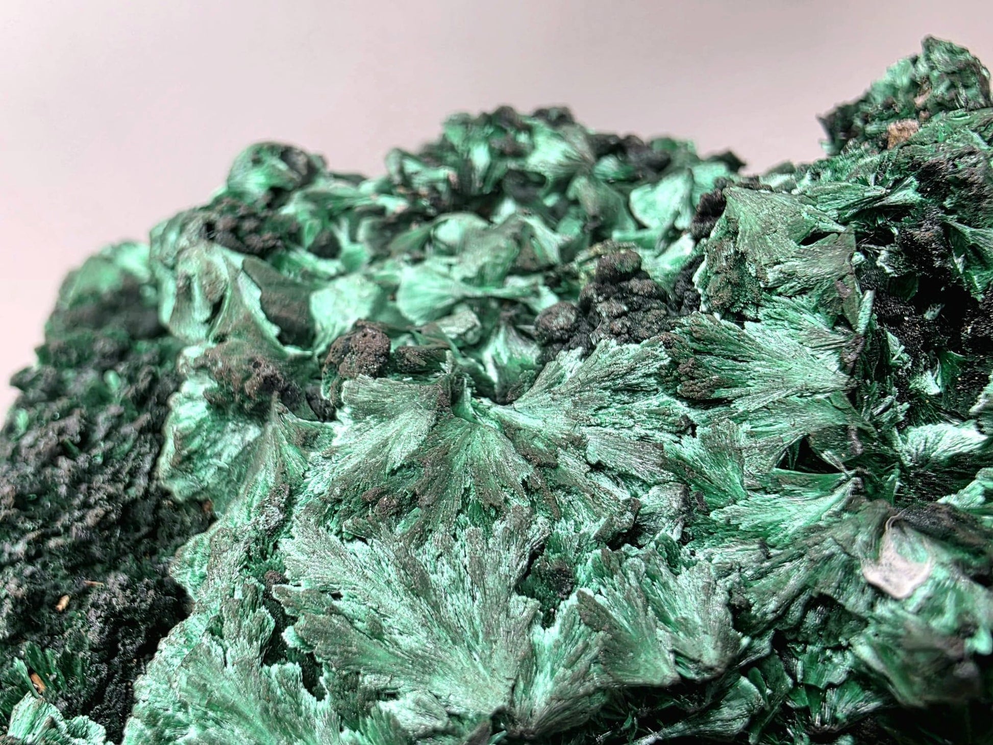 Detailed shot of Malachite skull face with floral surface