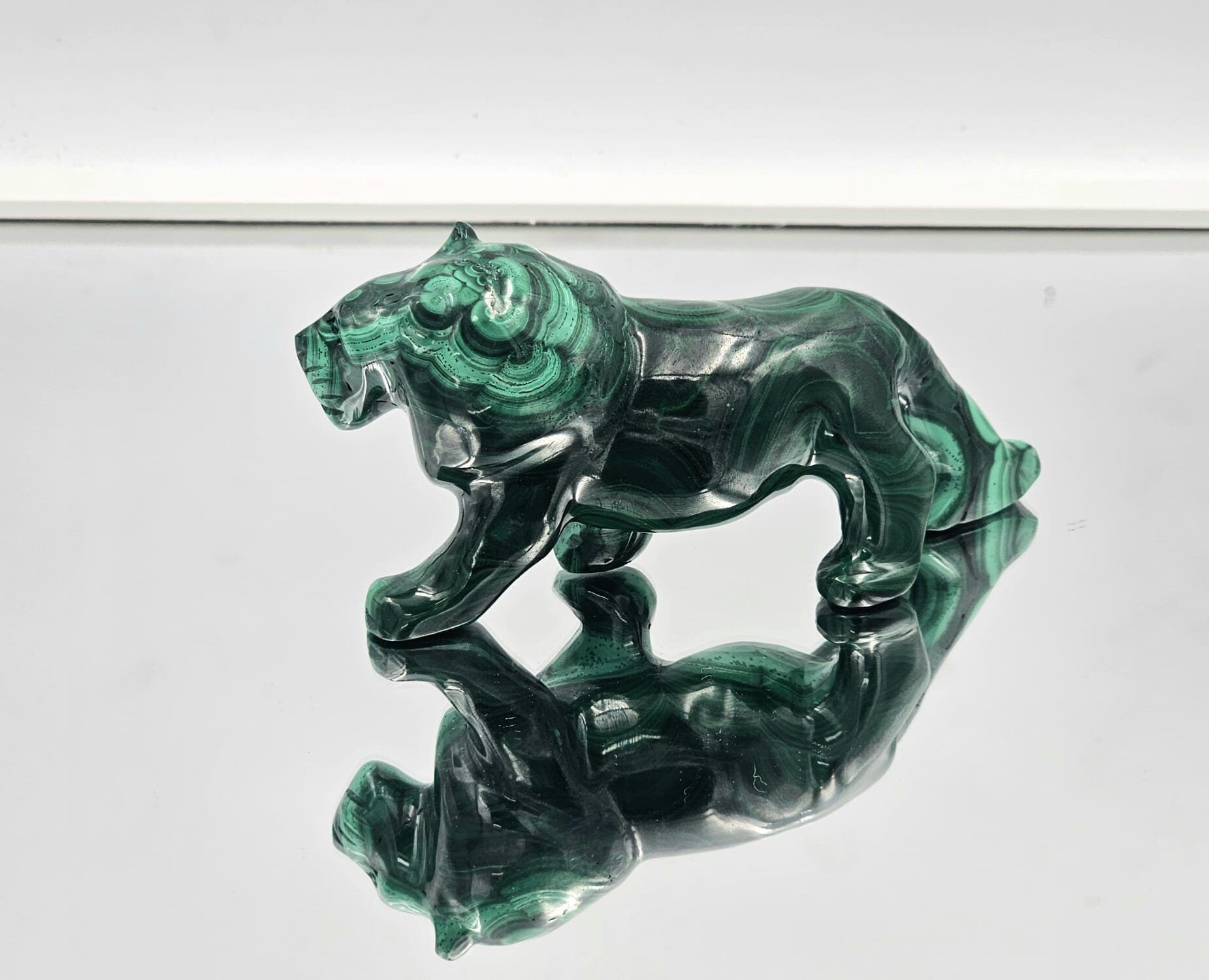 malachite tiger