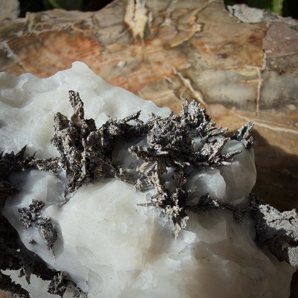 Metallic Native Silver natural specimen from Morocco
