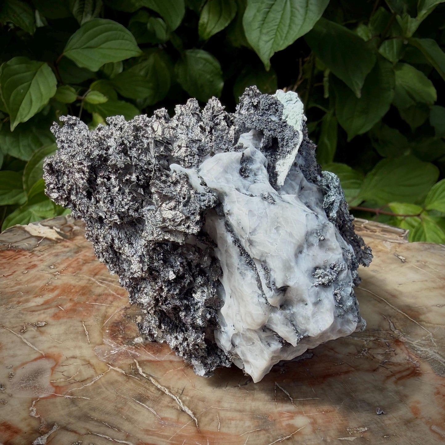 Metallic Native Silver matrix mineral specimen from Morocco