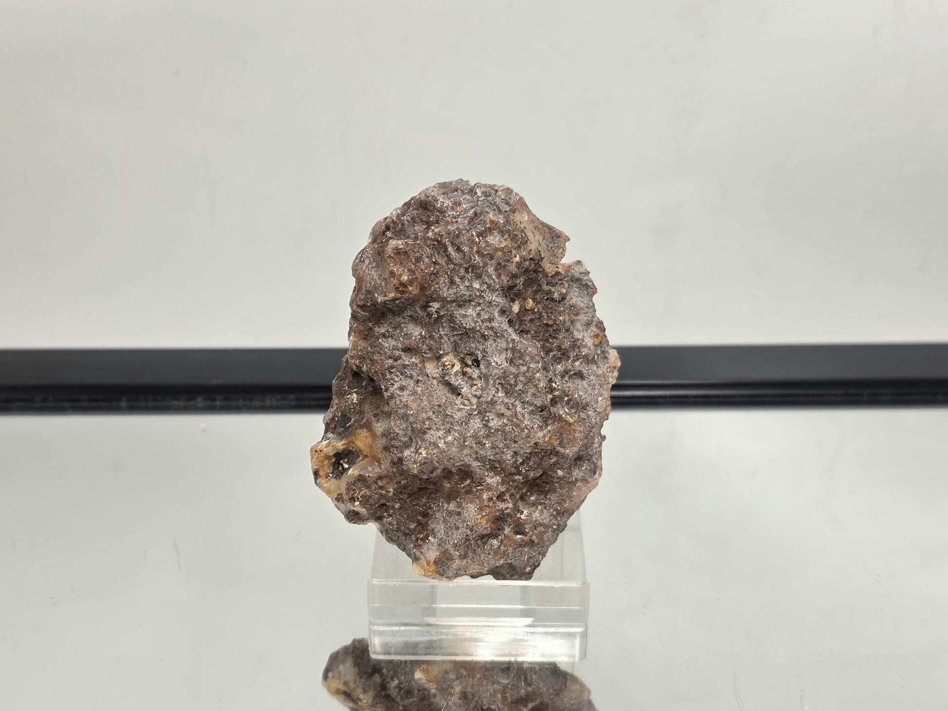Display-ready polished Mexican Agate Geode with natural design.