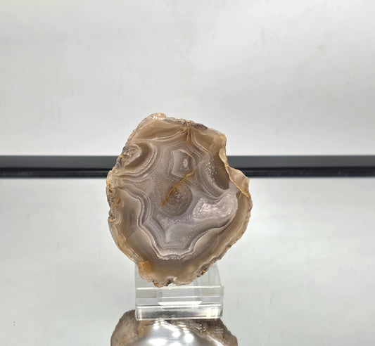 Polished Mexican Agate Geode ideal for collectors.
