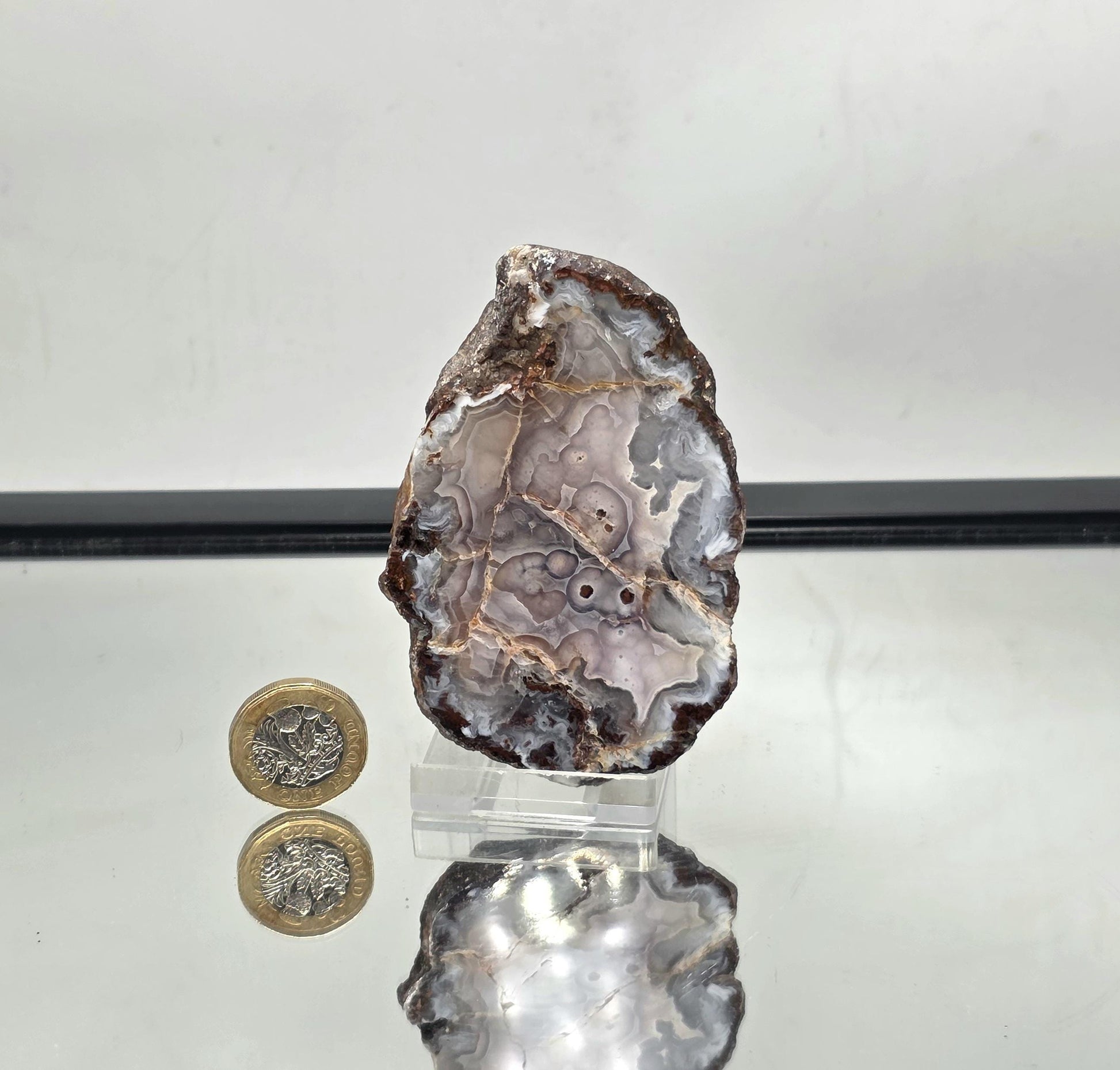 Mexican Agate Geode with polished edges highlighting layered patterns.