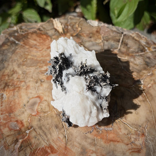 Moroccan Native Silver formed across a white Calcite matrix