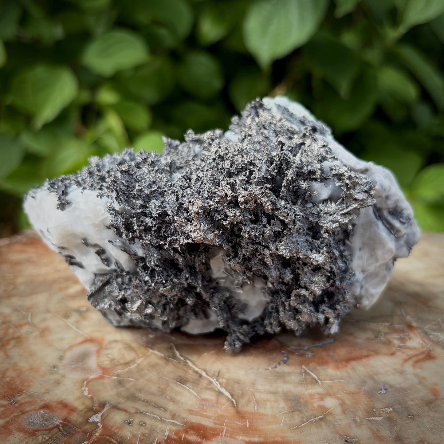 Moroccan Native Silver on Calcite collector mineral specimen
