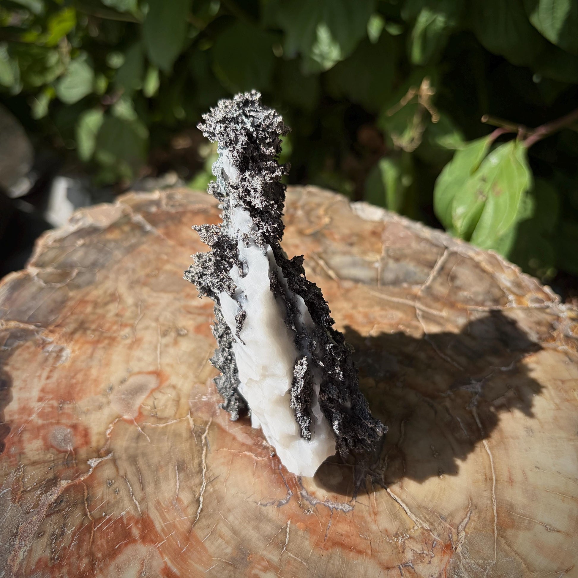 Natural Moroccan Silver mineral formation