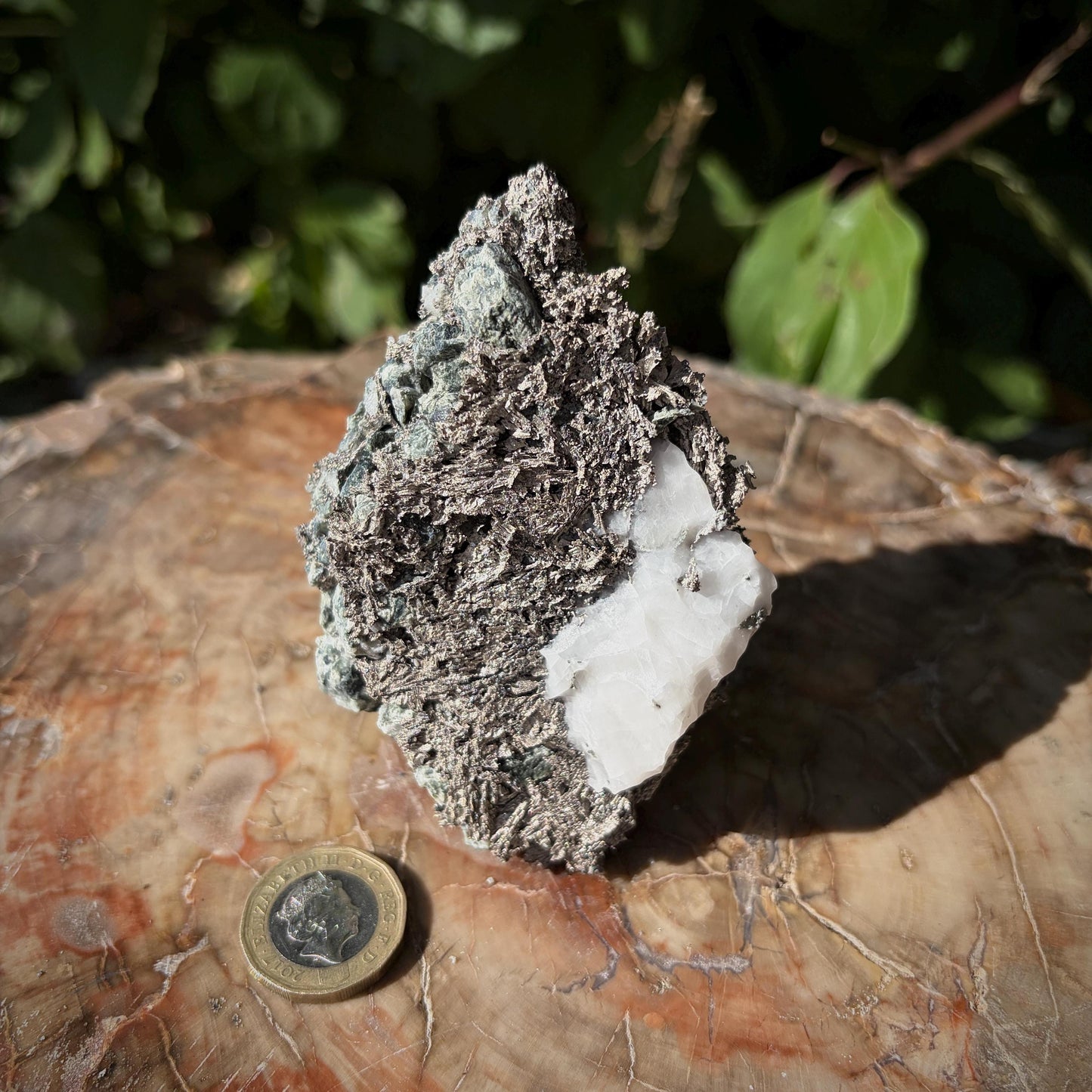 Moroccan Native Silver crystal specimen for collectors