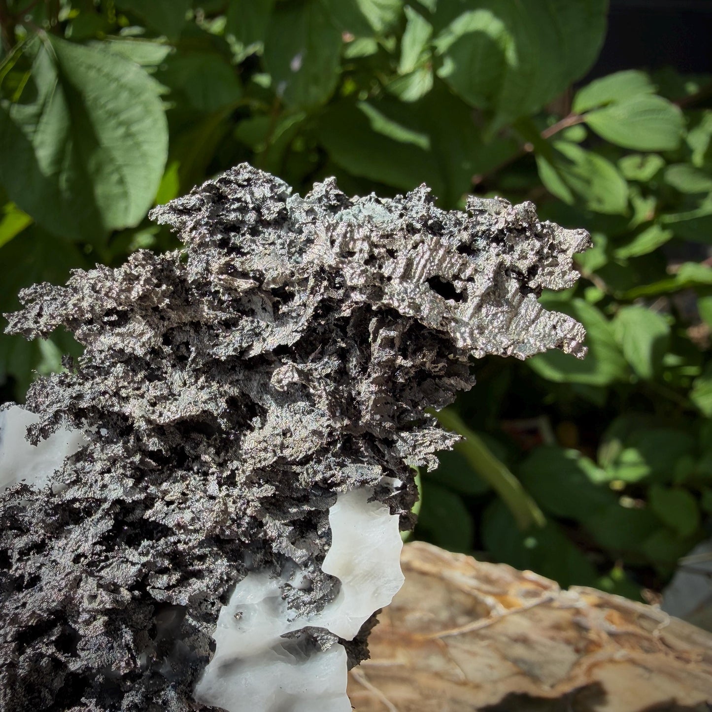 Moroccan Native Silver natural display crystal