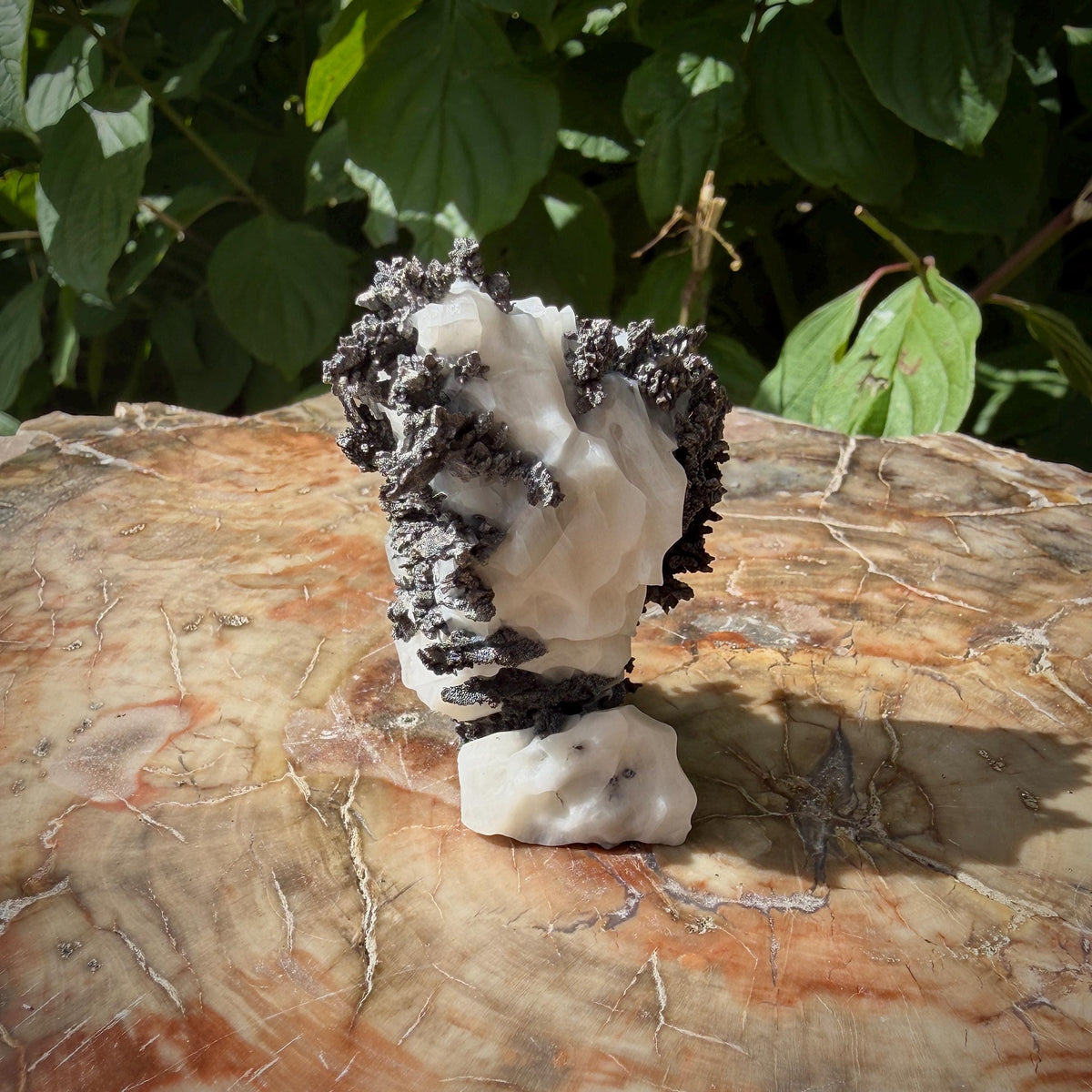 Native silver mineral cabinet specimen