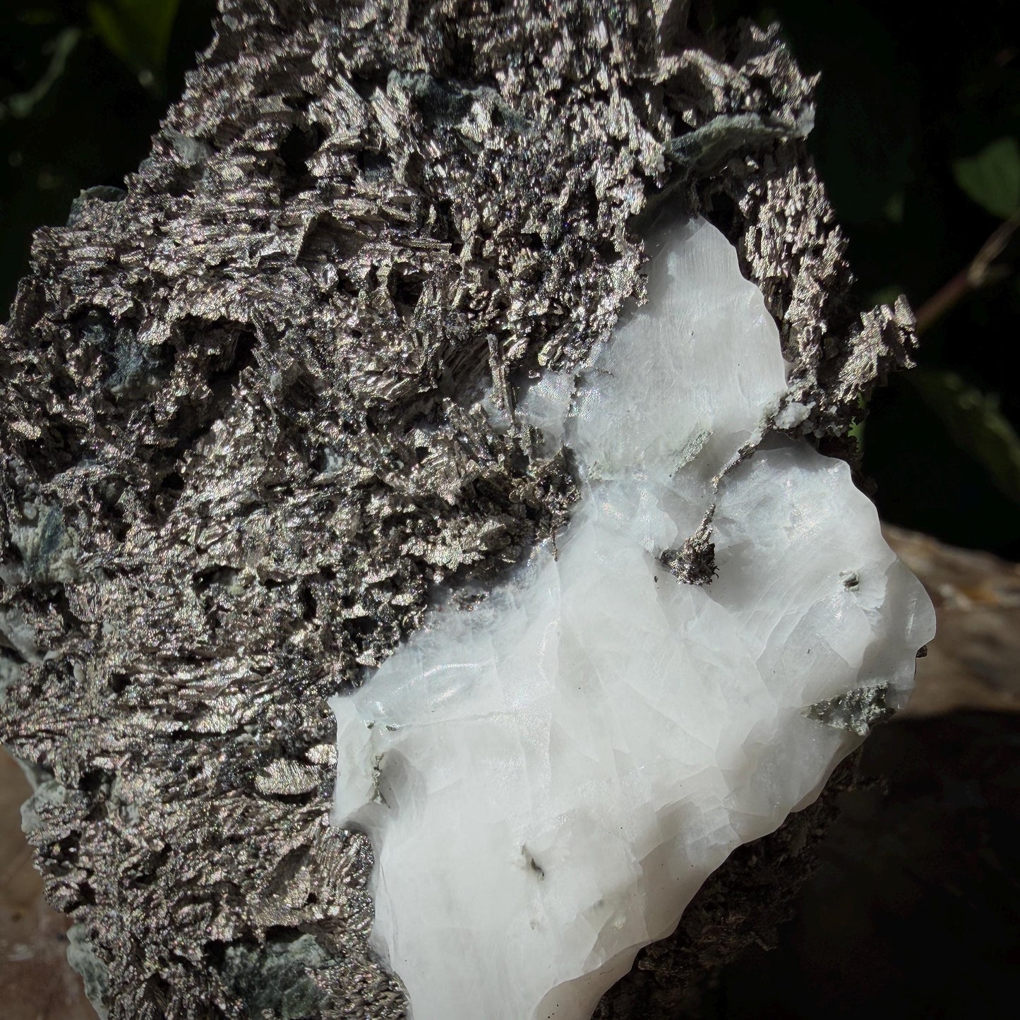 Native Silver geological specimen from Morocco