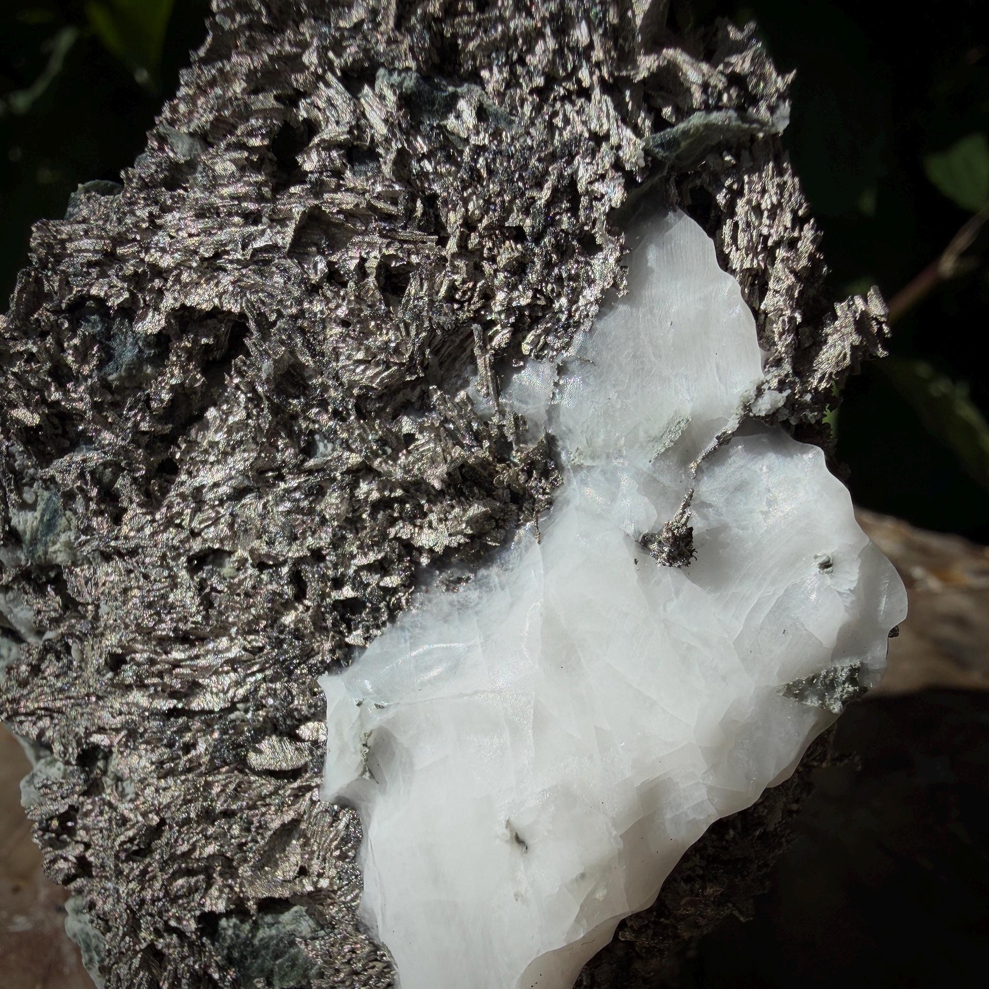 Native Silver geological specimen from Morocco
