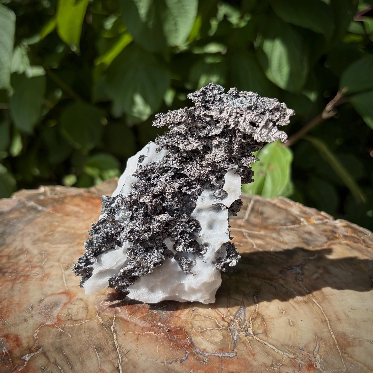 Native Silver mineral specimen from Morocco