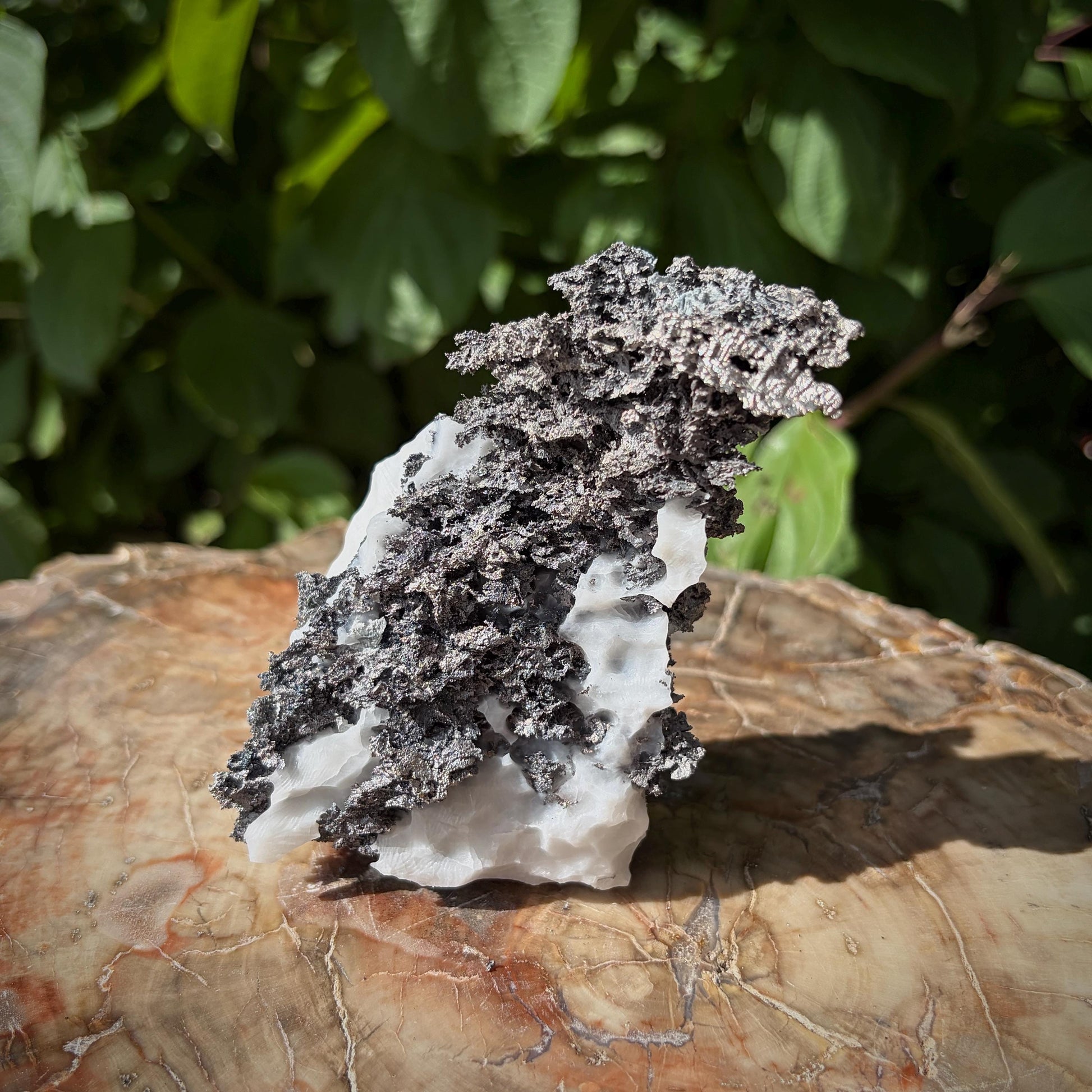 Native Silver mineral specimen from Morocco